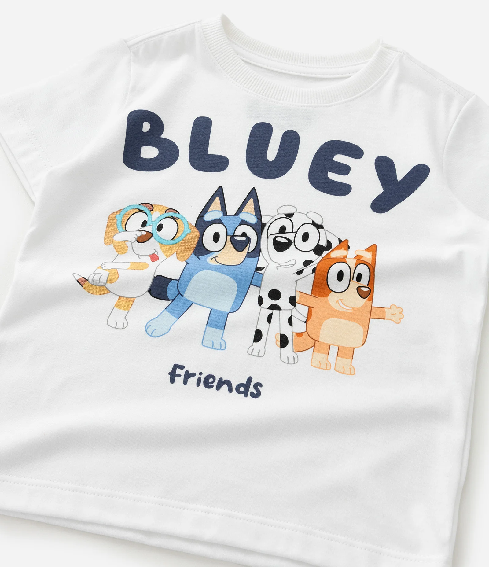Camiseta Infantil com Estampa Bluey and Friends - Tam 2 a 6 anos Branco 5