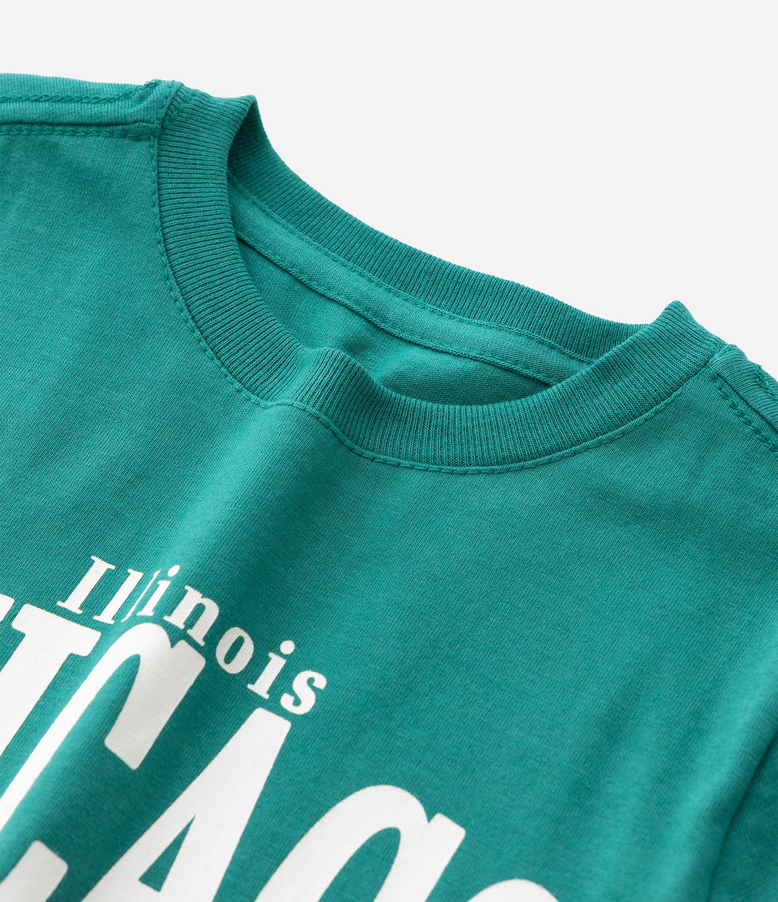 Camiseta Infantil com Estampa de Dinossauro Chicago - Tam 1 a 6 Anos Verde 4