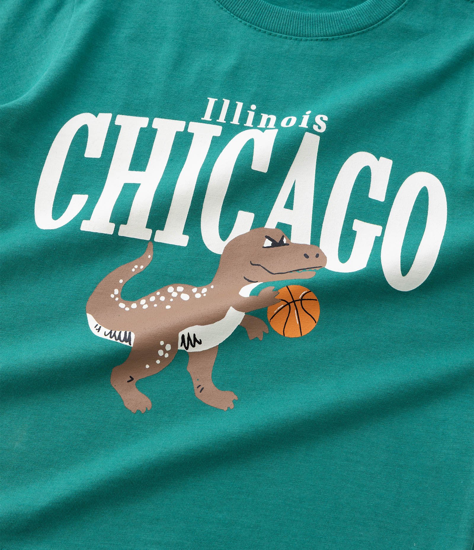 Camiseta Infantil com Estampa de Dinossauro Chicago - Tam 1 a 6 Anos Verde 5