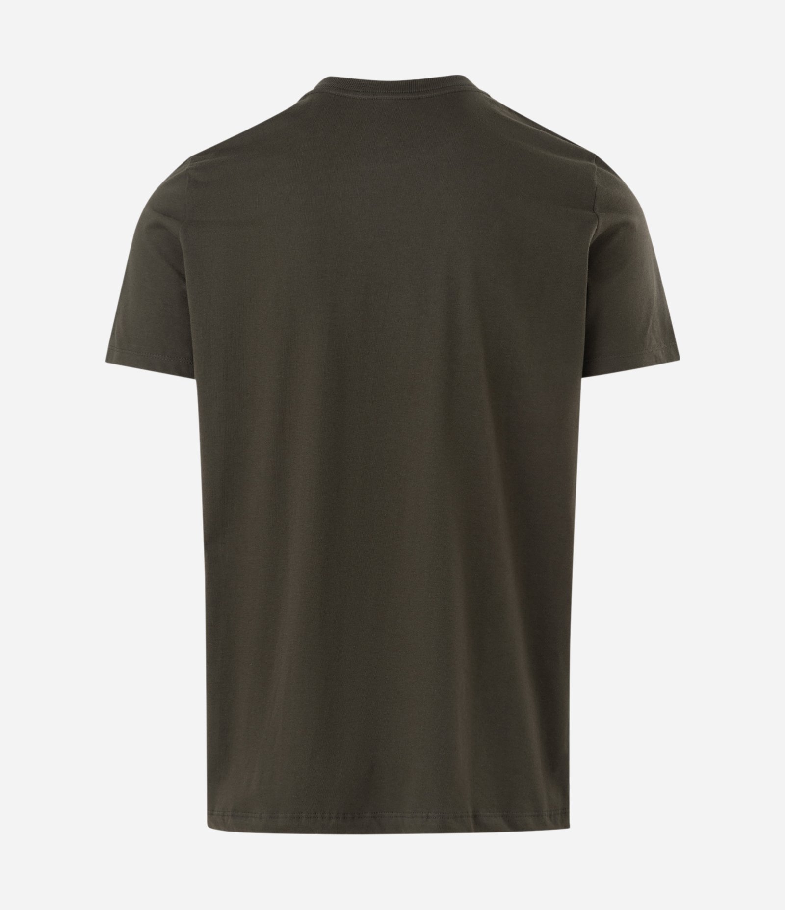 Camiseta Regular Básica em Algodão Verde 2