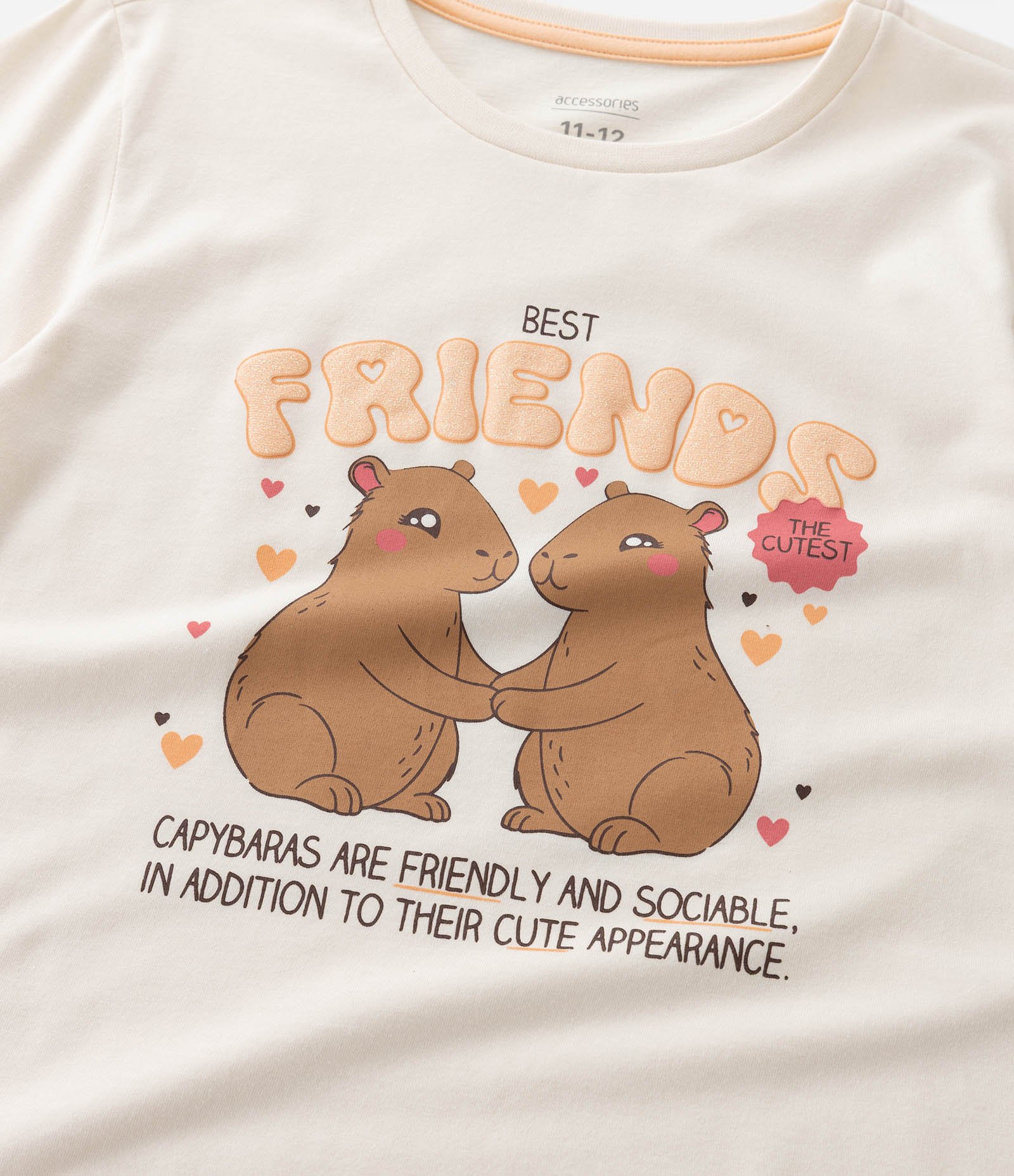 Pijama Infantil Longo com Estampa Capivara Friends  – Tam 5 a 14 Anos Off White/Laranja 11