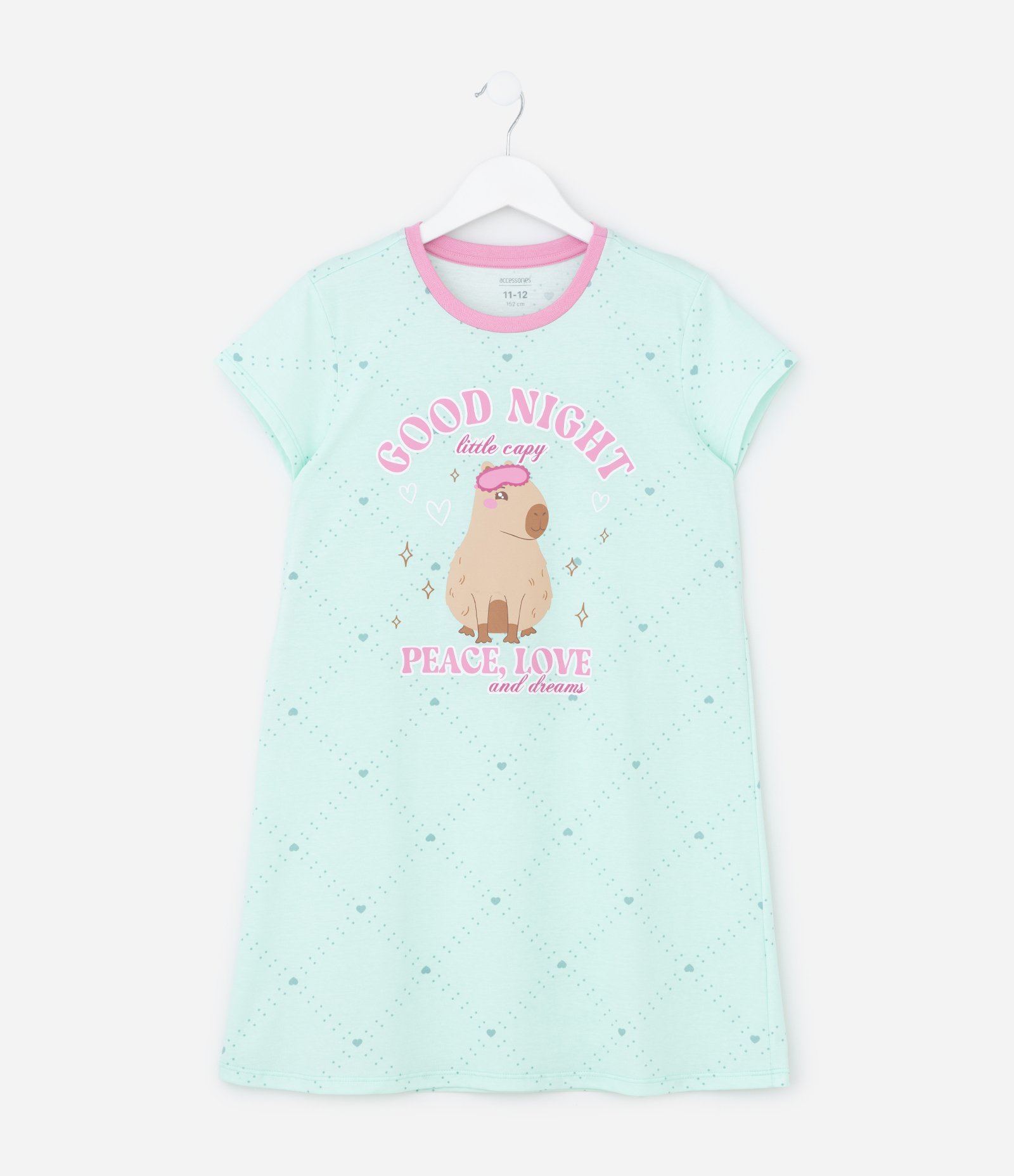 Camisola Infantil com Estampa Capivara – Tam 5 A 14 Anos Verde Menta 1