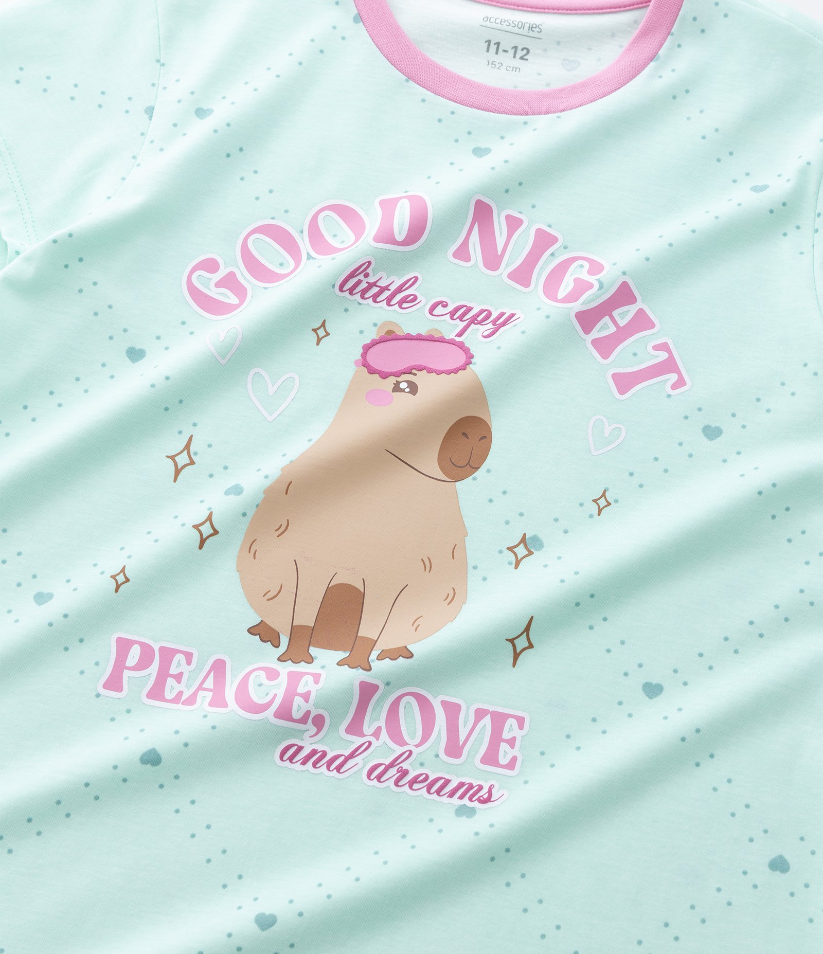 Camisola Infantil com Estampa Capivara – Tam 5 A 14 Anos Verde Menta 5