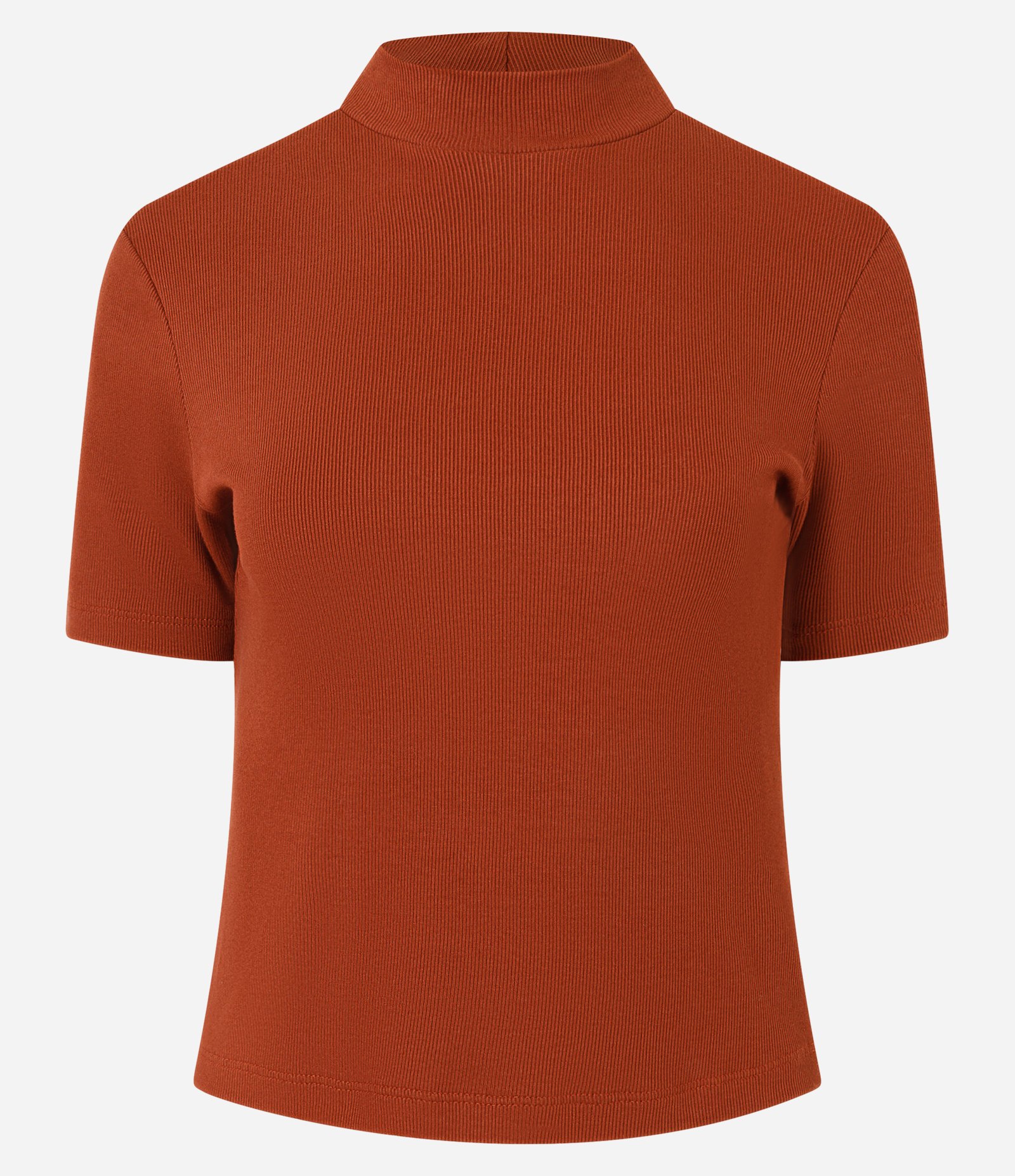 Blusa Regular em Ribana com Gola Alta Telha 1