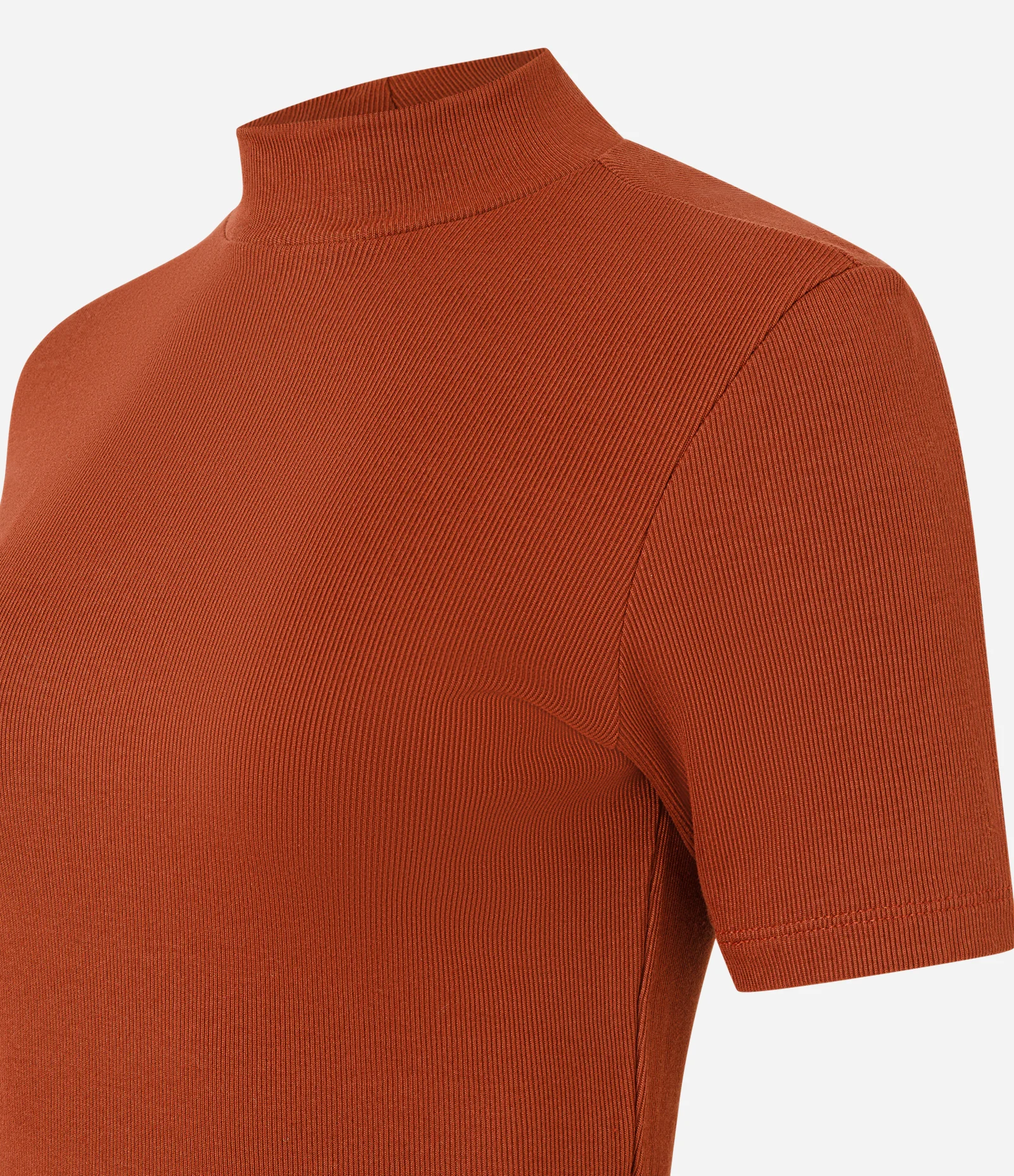 Blusa Regular em Ribana com Gola Alta Telha 2