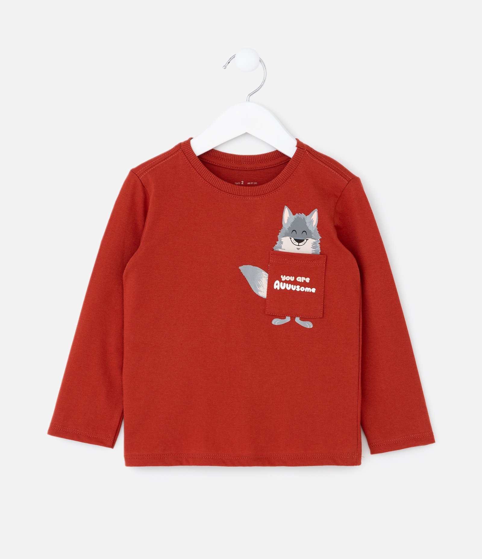 Camiseta Infantil Manga Longa com Bolsinho e Estampa Animal – Tam 1 a 5/6 Anos Vermelho 1