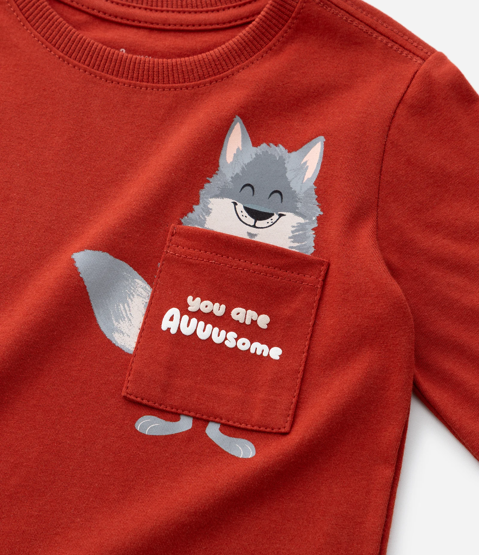 Camiseta Infantil Manga Longa com Bolsinho e Estampa Animal – Tam 1 a 5/6 Anos Vermelho 5