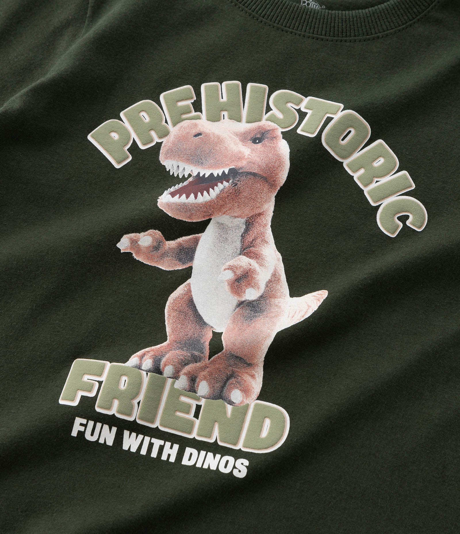 Camiseta Infantil com Estampa Dino Prehistoric – Tam 1 a 6 Anos Verde Militar 4