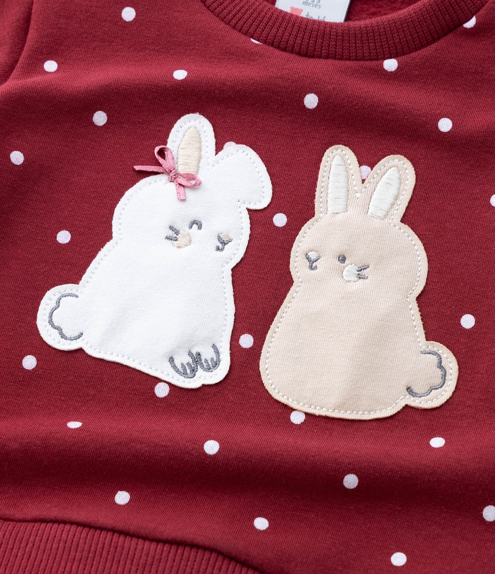 Conjunto Infantil com Coelhinhos Aplicados e Calça Poá – Tam 0 a 18 Meses Vermelho 14