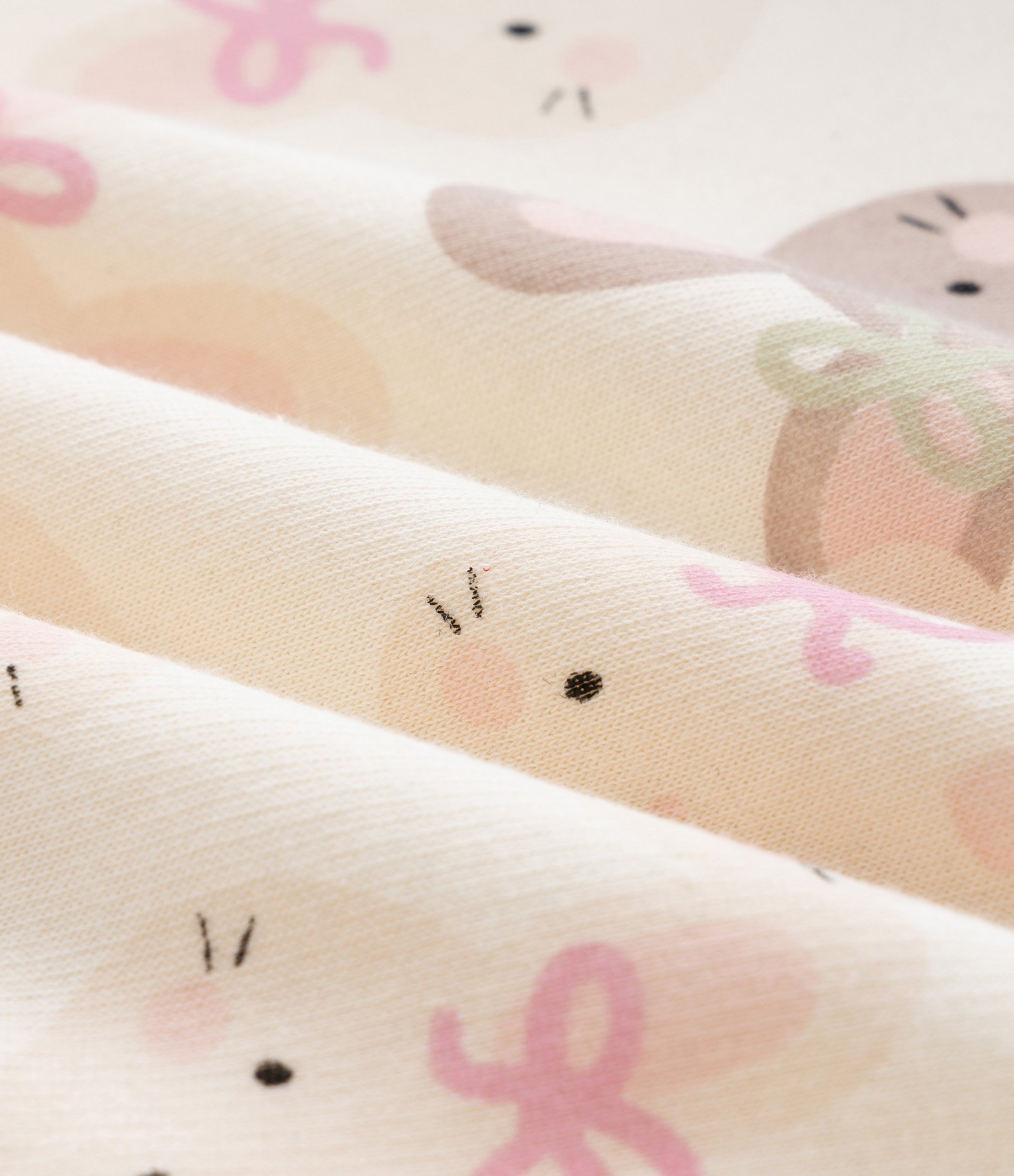 Conjunto Infantil em Moletinho com Estampa de Coelho - Tam 0 A 18 Meses Rosa 9