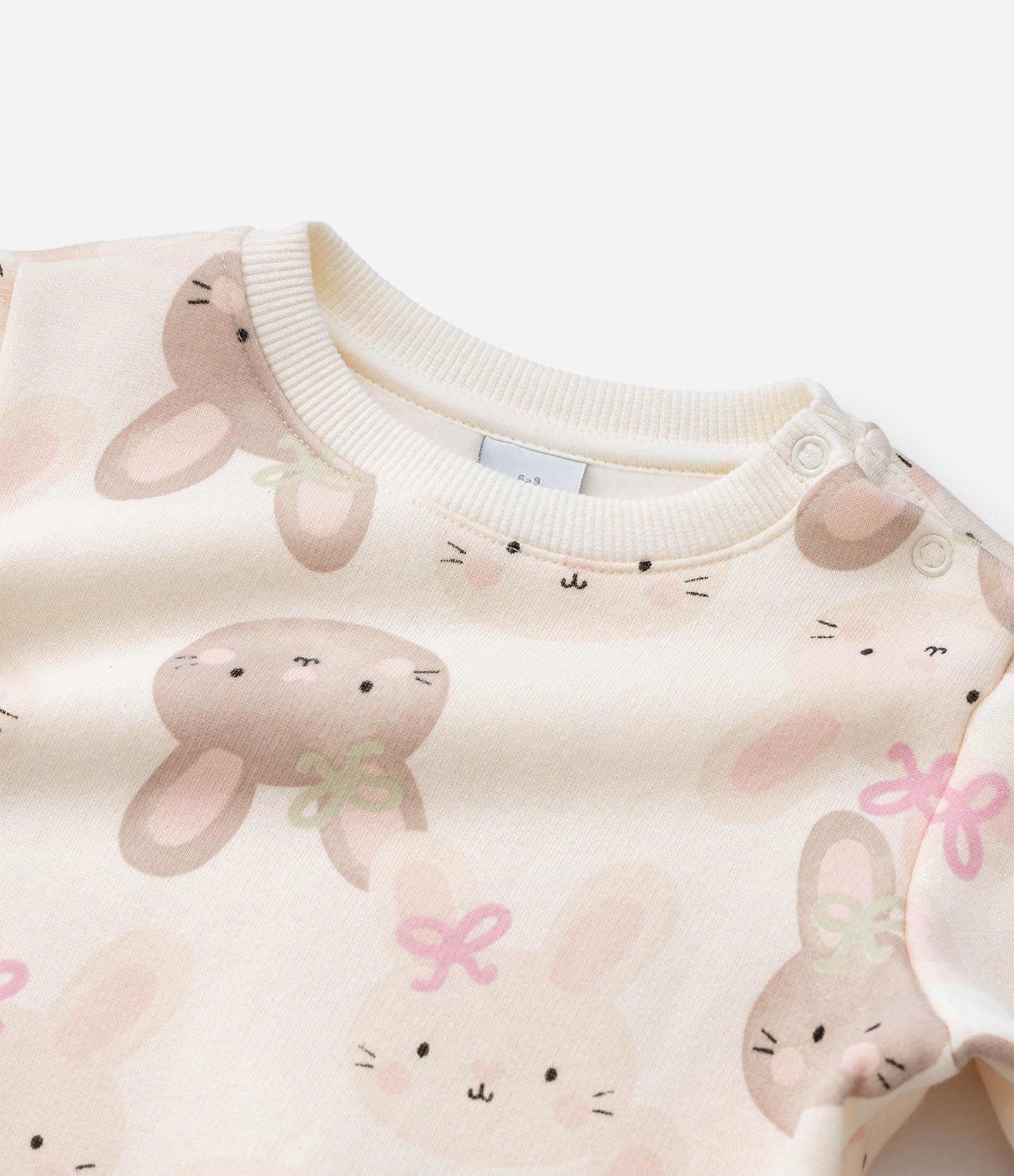 Conjunto Infantil em Moletinho com Estampa de Coelho - Tam 0 A 18 Meses Rosa 11