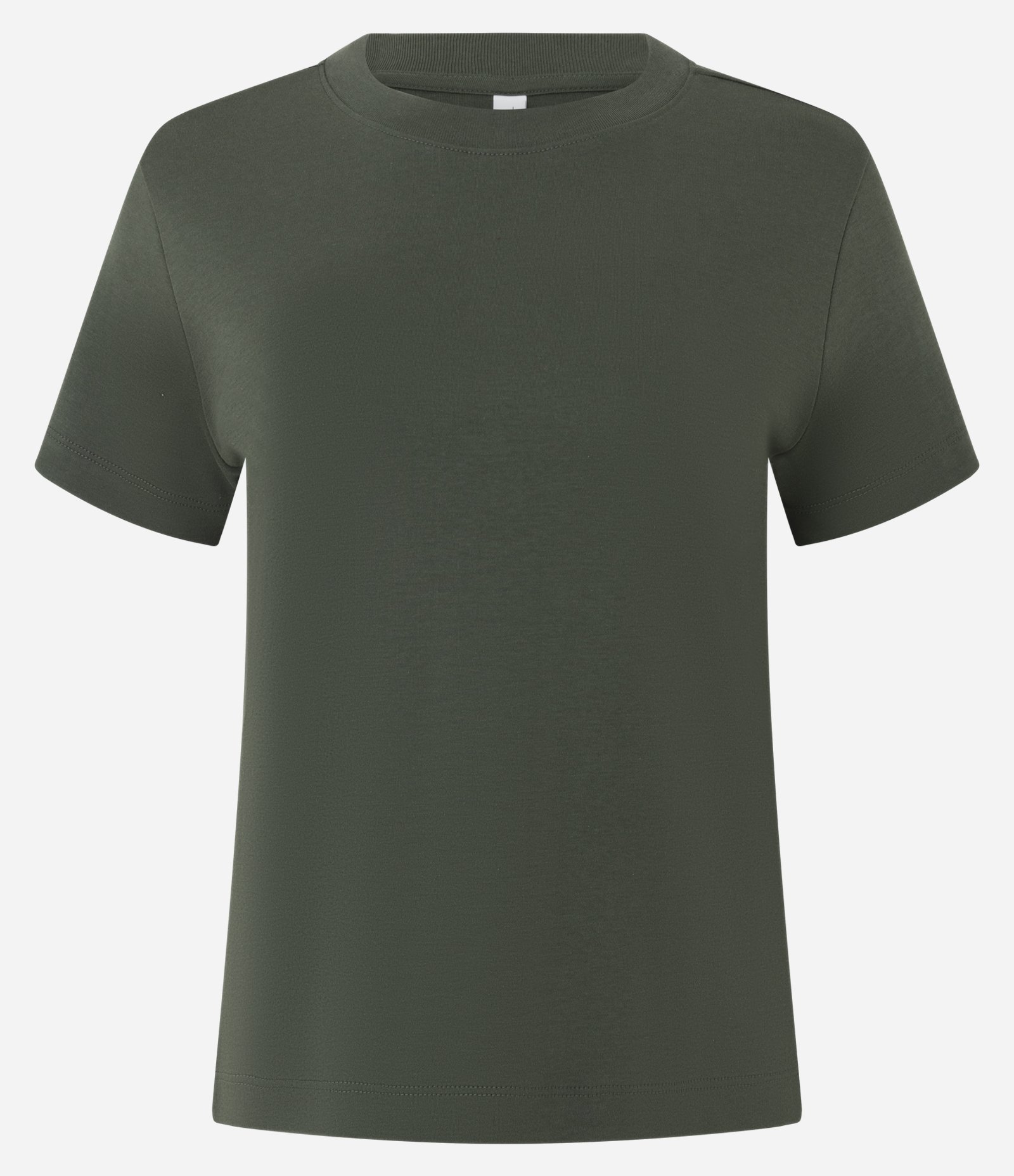 Blusa Básica em Algodão Peruano Interlock com Gola Redonda Verde 5