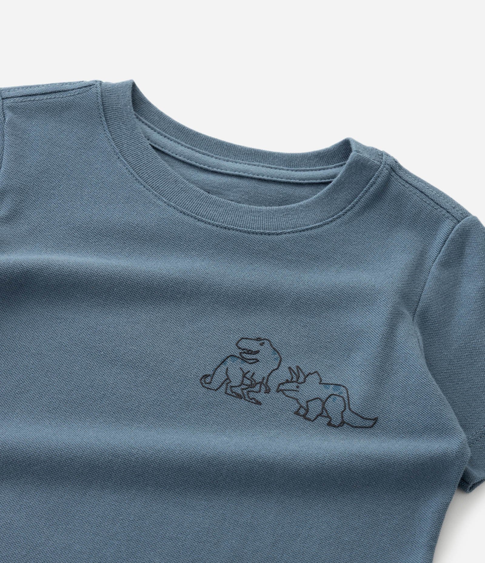 Camiseta Infantil com Estampa de Dinossauros no Peito – Tam 1 a 6 Anos Azul 5