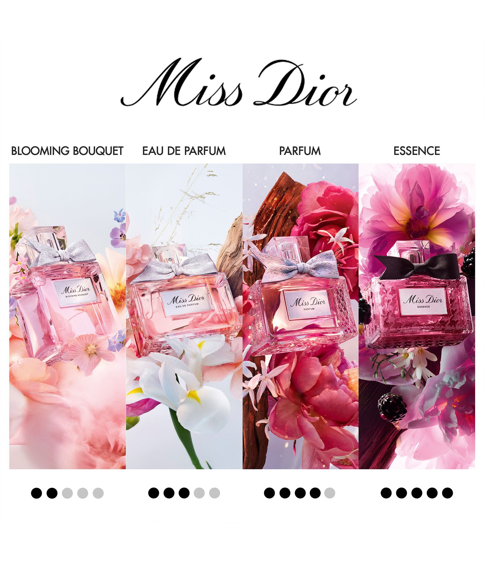 Kit Miss Dior EDP 100ml KIT 4