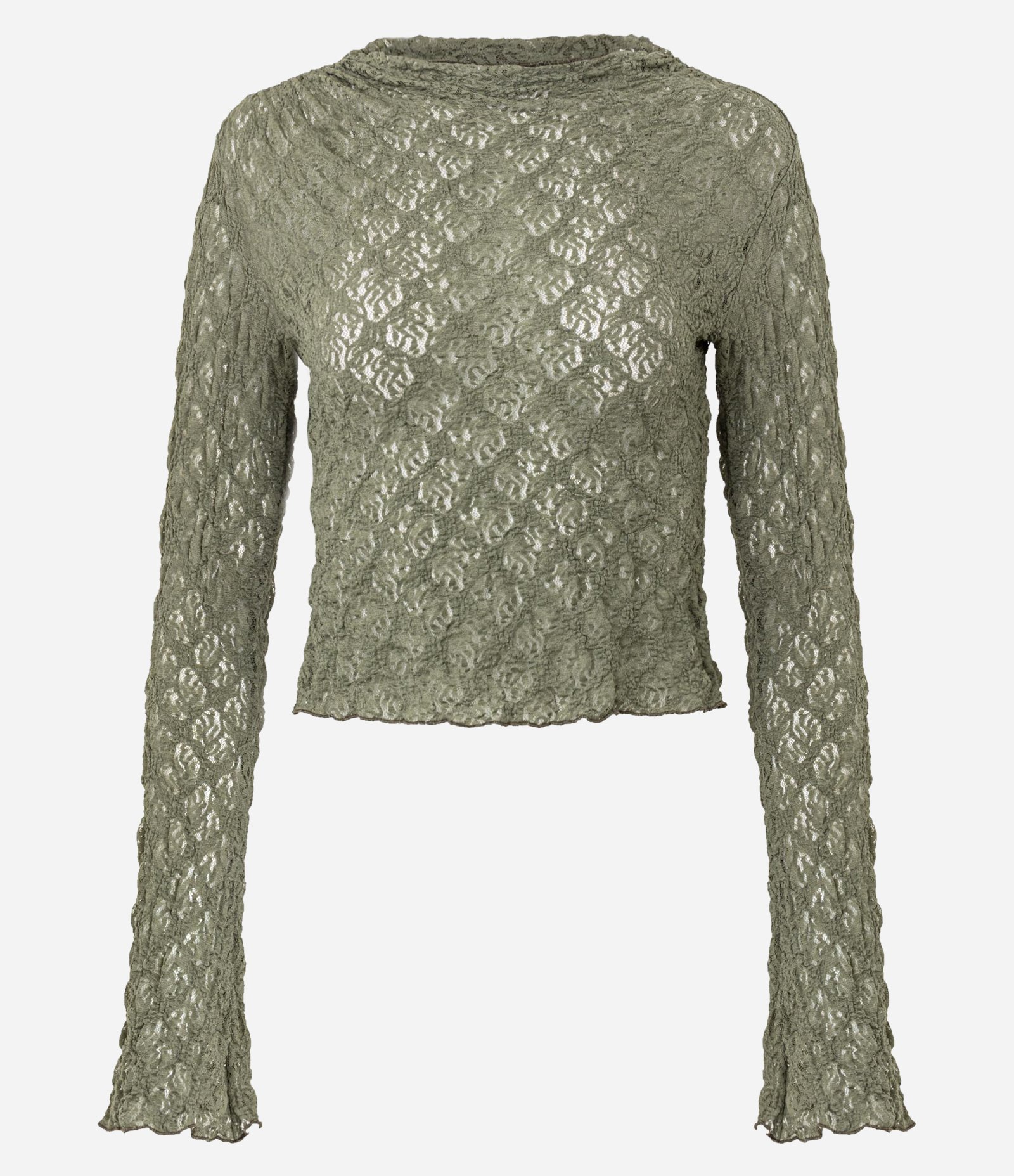 Blusa em Renda com Gola Alta e Manga Sino Verde 1