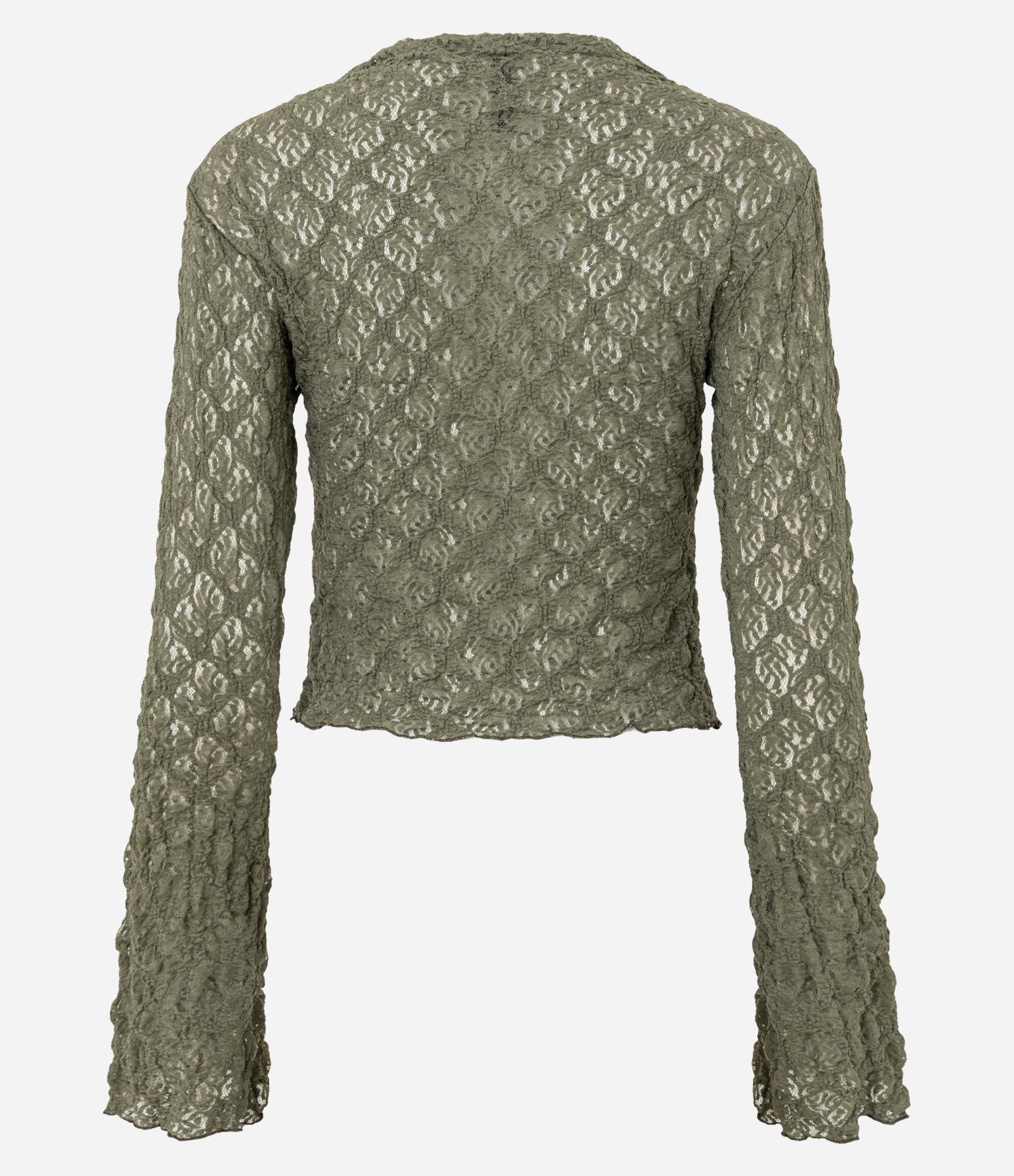 Blusa em Renda com Gola Alta e Manga Sino Verde 3