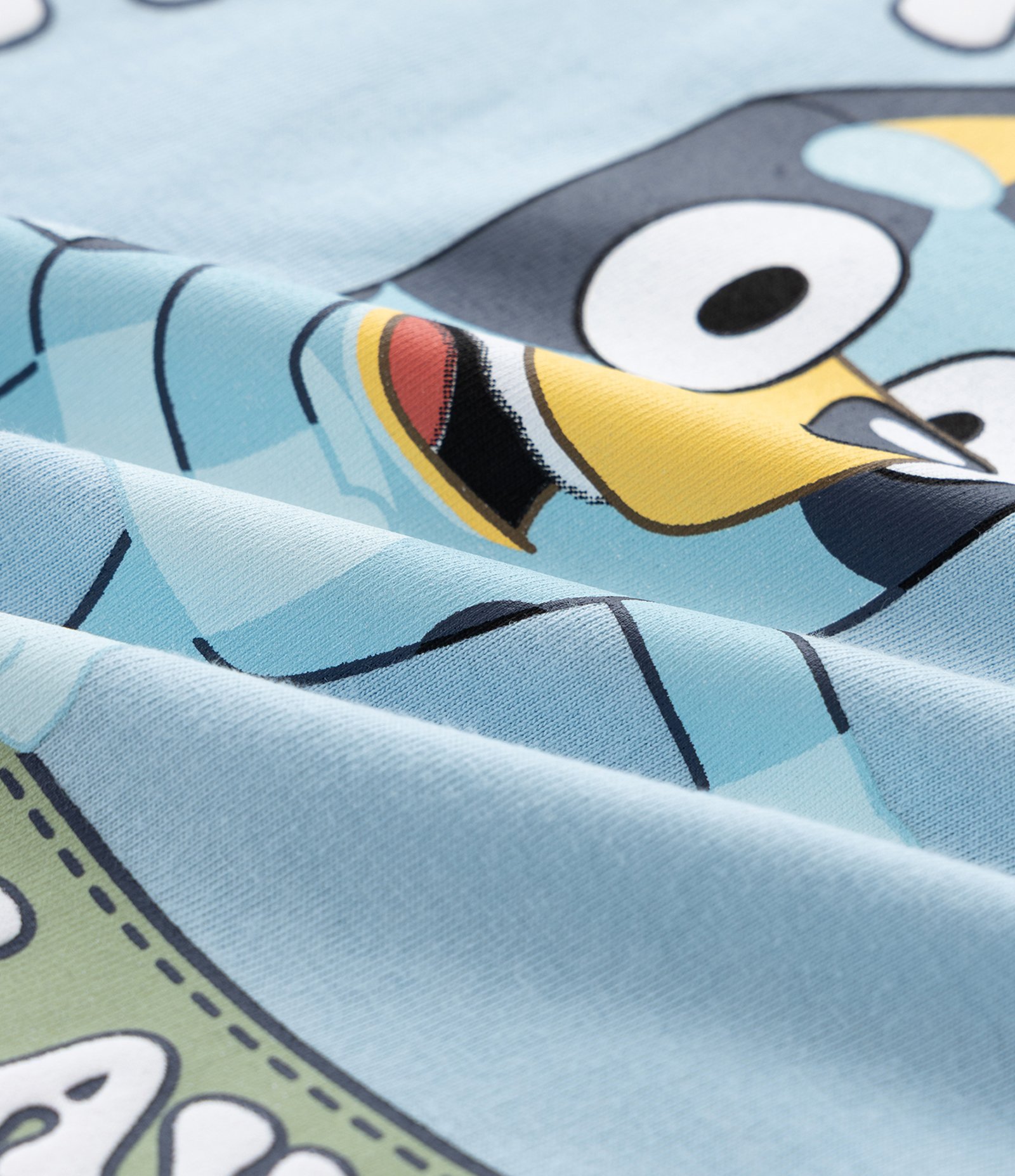 Pijama Infantil Curto com Estampa Bluey - Tam 2 A 8 Anos Azul/Verde 8