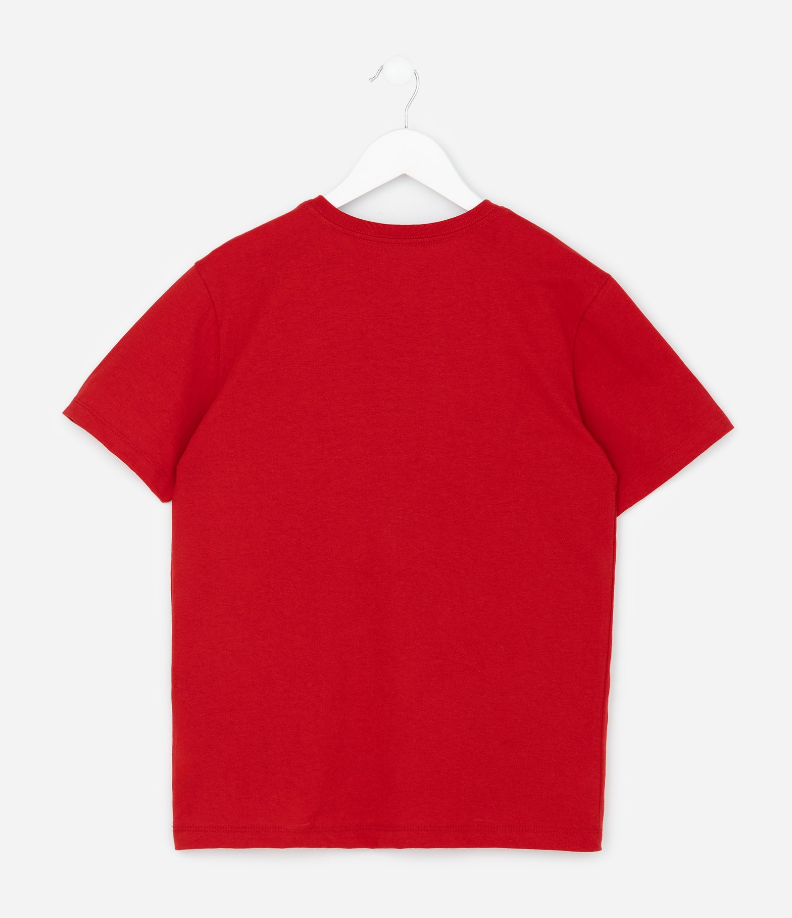 Camiseta Infantil com Estampa Mountain of Wisdom – Tam 5 a 14 Anos Vermelho 2
