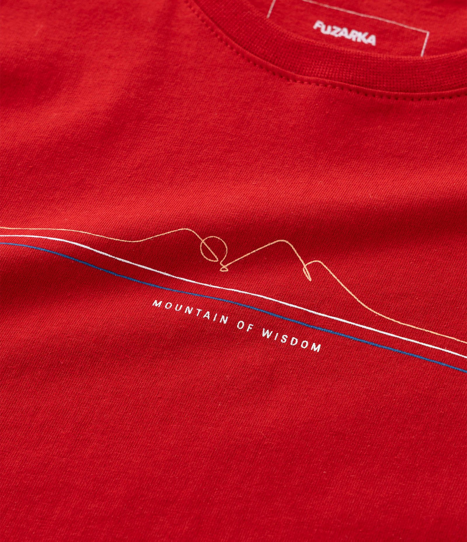 Camiseta Infantil com Estampa Mountain of Wisdom – Tam 5 a 14 Anos Vermelho 4