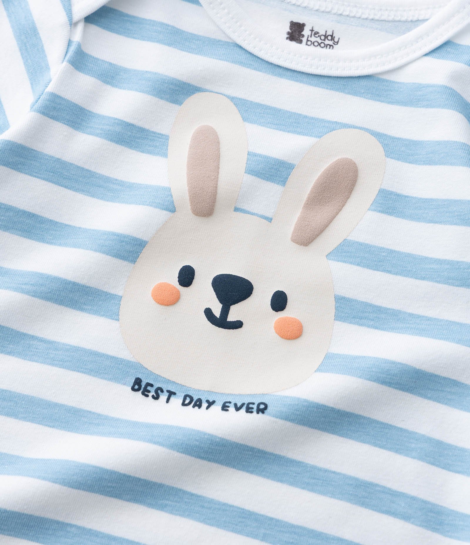 Body Infantil com Estampa de Coelho – Tam 0 a 18 Meses Azul/Branco 6