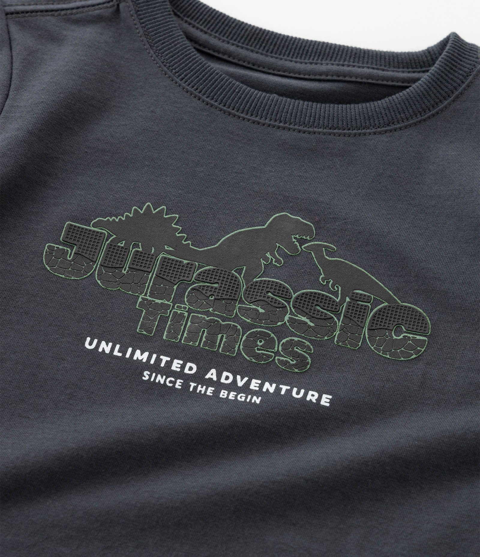 Camiseta Infantil com Estampa de Dinossauro em Relevo – Tam 1 a 6 Anos Chumbo 4