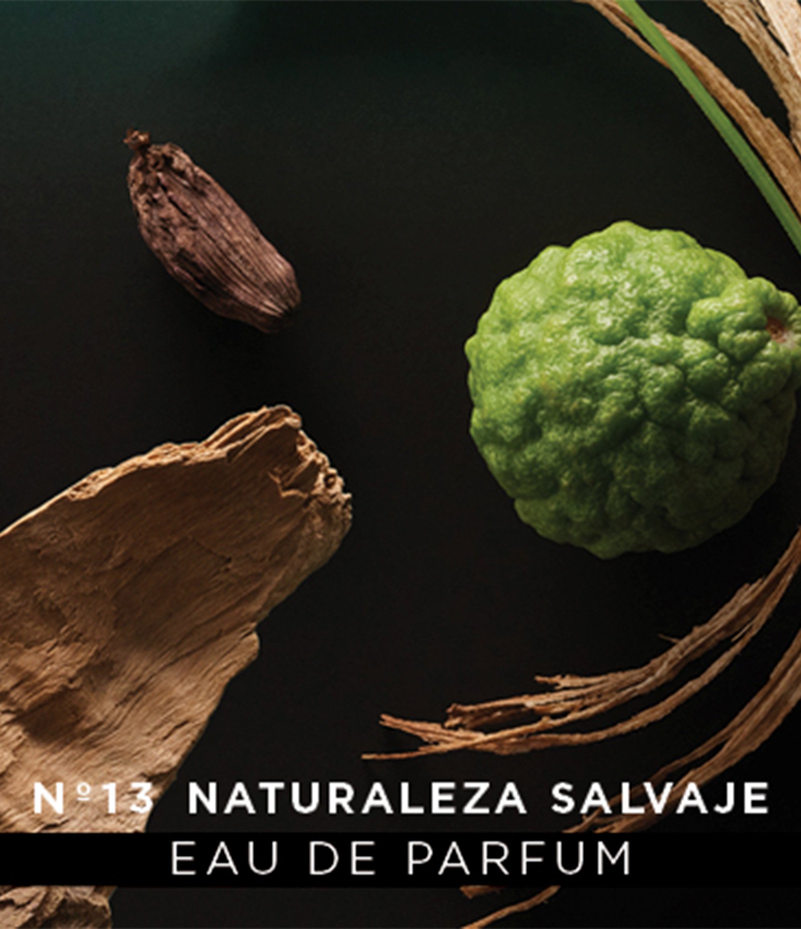 V L Aguas De Parfum N 13 Naturaleza Salvaje Eau de Parfum 150 ml 150ml 6