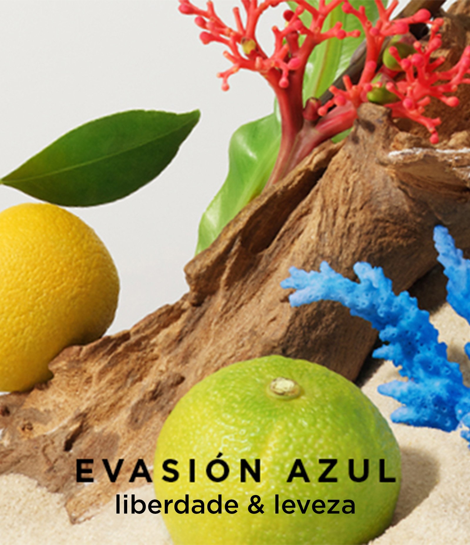 Victorio   Lucchino Aguas Esenciales Evasion Azul Eau de Cologne 250 ml 250ml 4