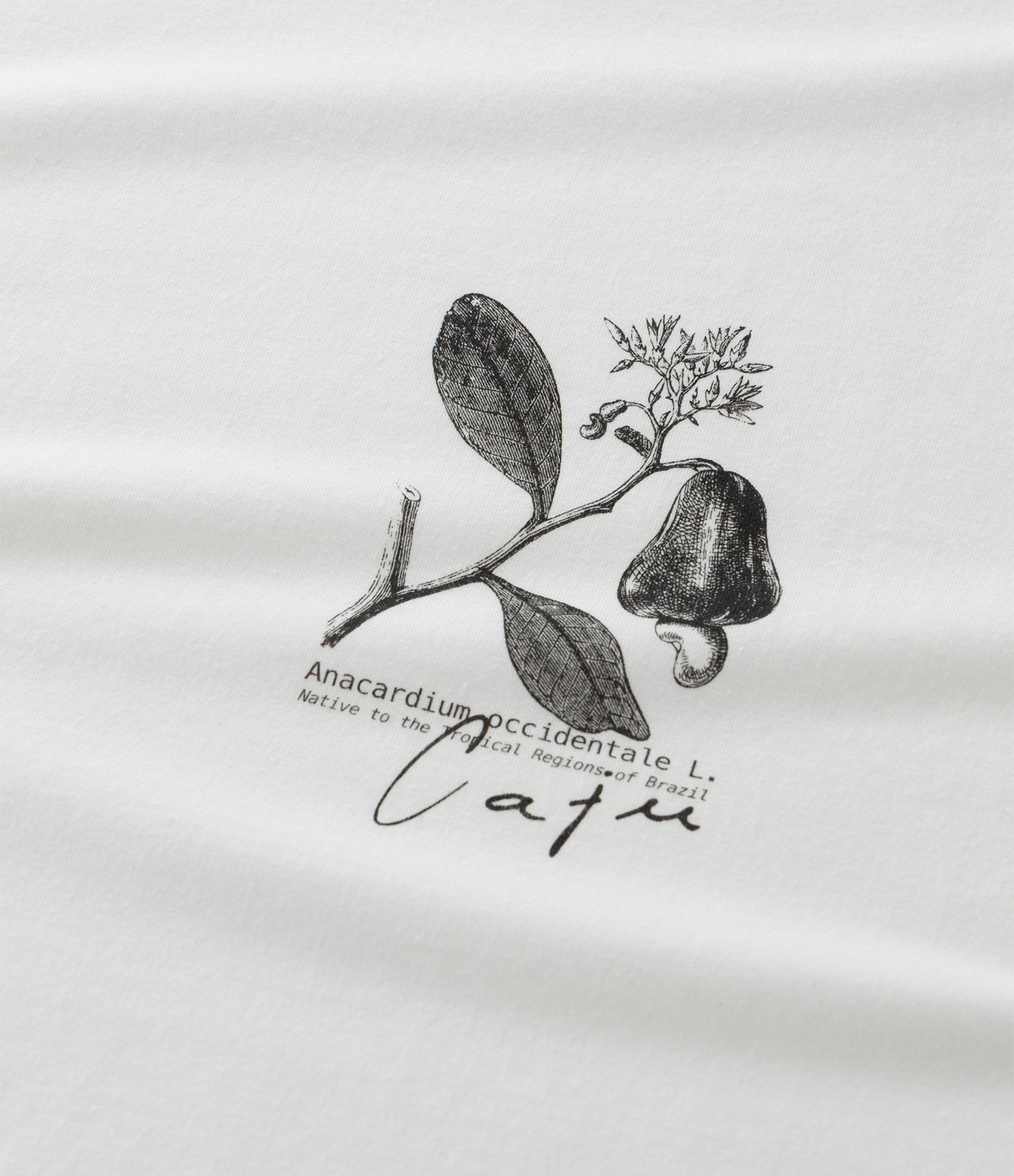 Camiseta Manga Curta com Estampa Folhagem Caju Off White 4