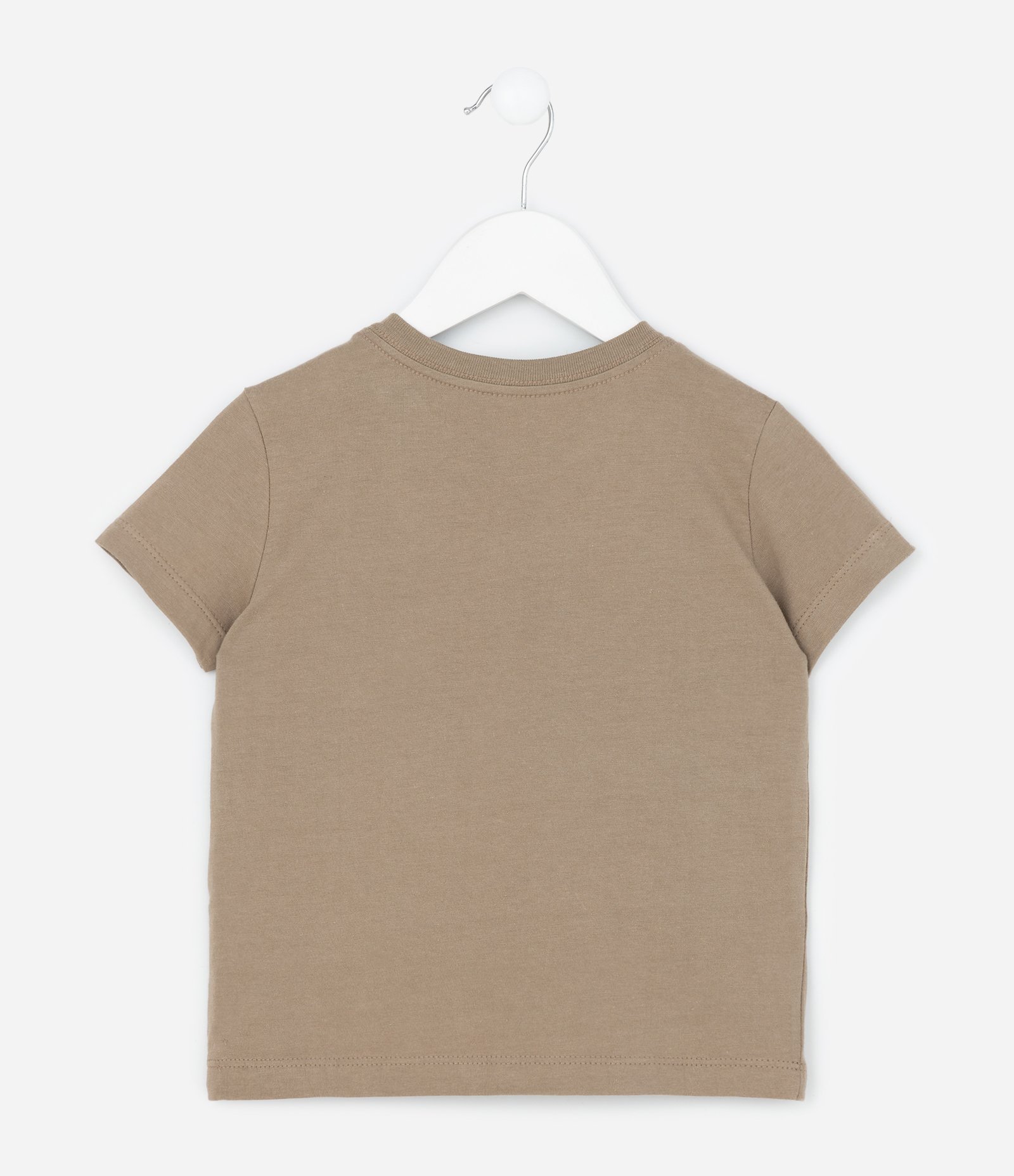 Camiseta Infantil em Algodão Estampa Dinossauro - Tam 1 a 6 Anos Marrom 2