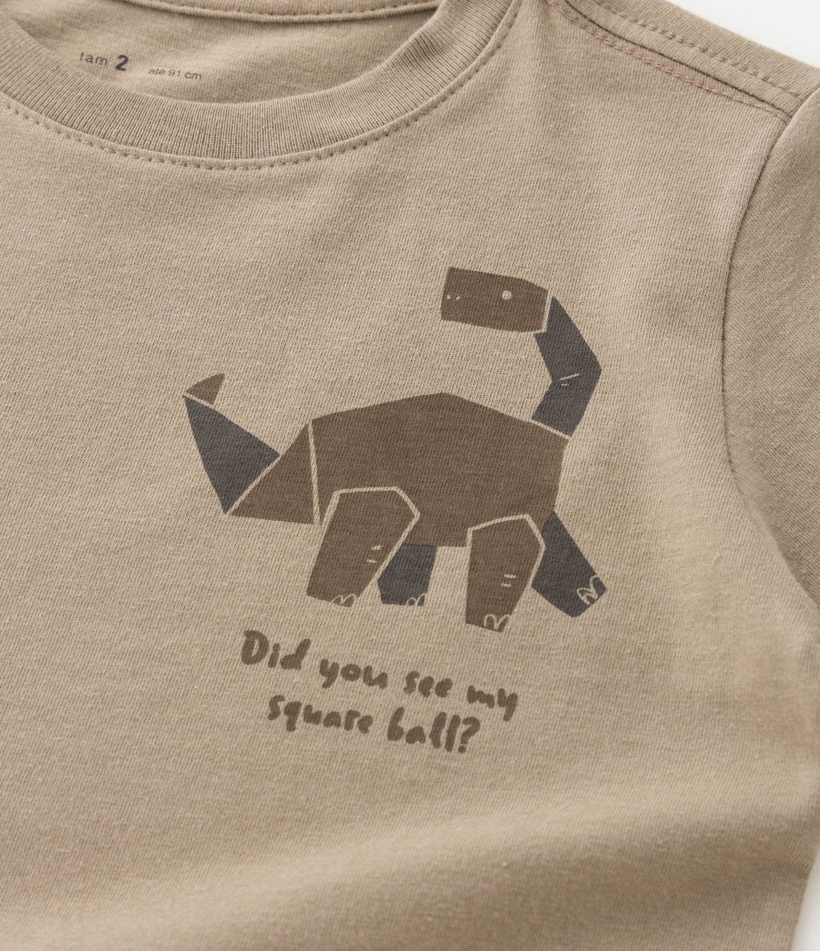 Camiseta Infantil em Algodão Estampa Dinossauro - Tam 1 a 6 Anos Marrom 4