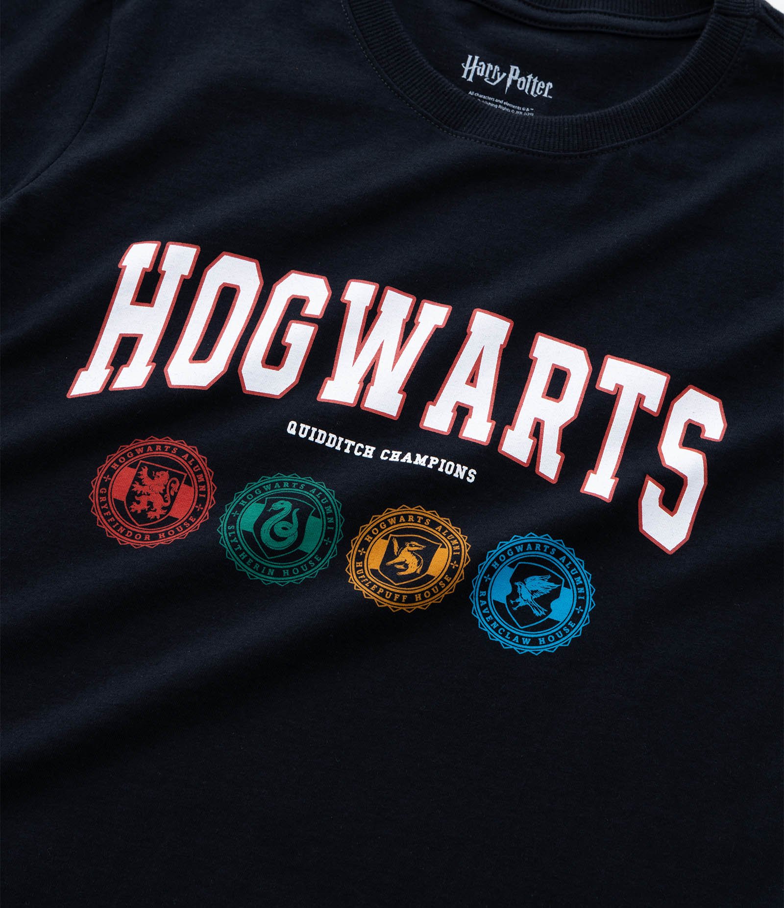 Camiseta Infantil Harry Potter Com Estampa Hogwarts - Tam 5 A 14 Anos Preto 4