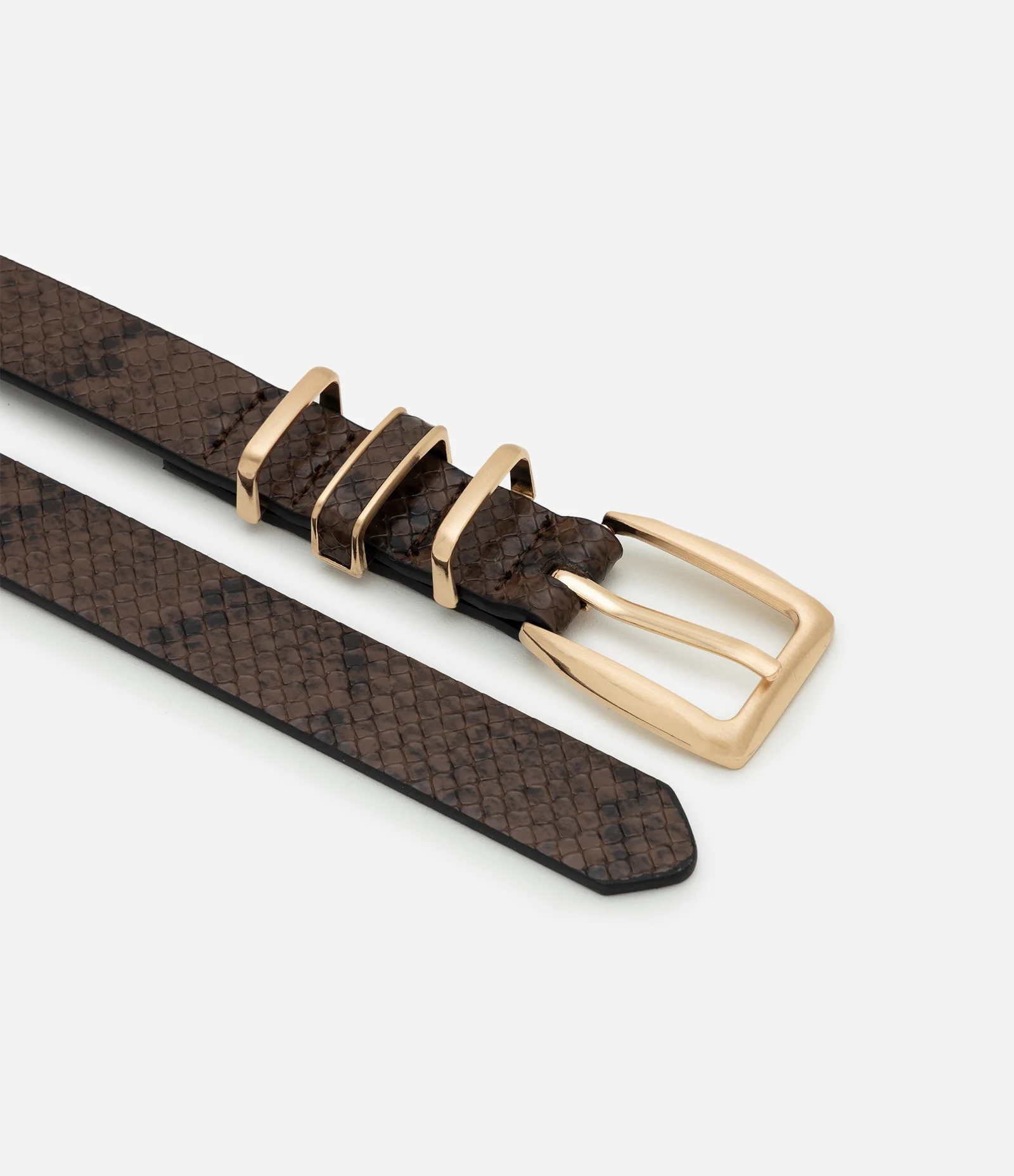 Cinto Médio Animal Print Cobra com Fivela Quadrada Curve & Plus Size Animal Print 2