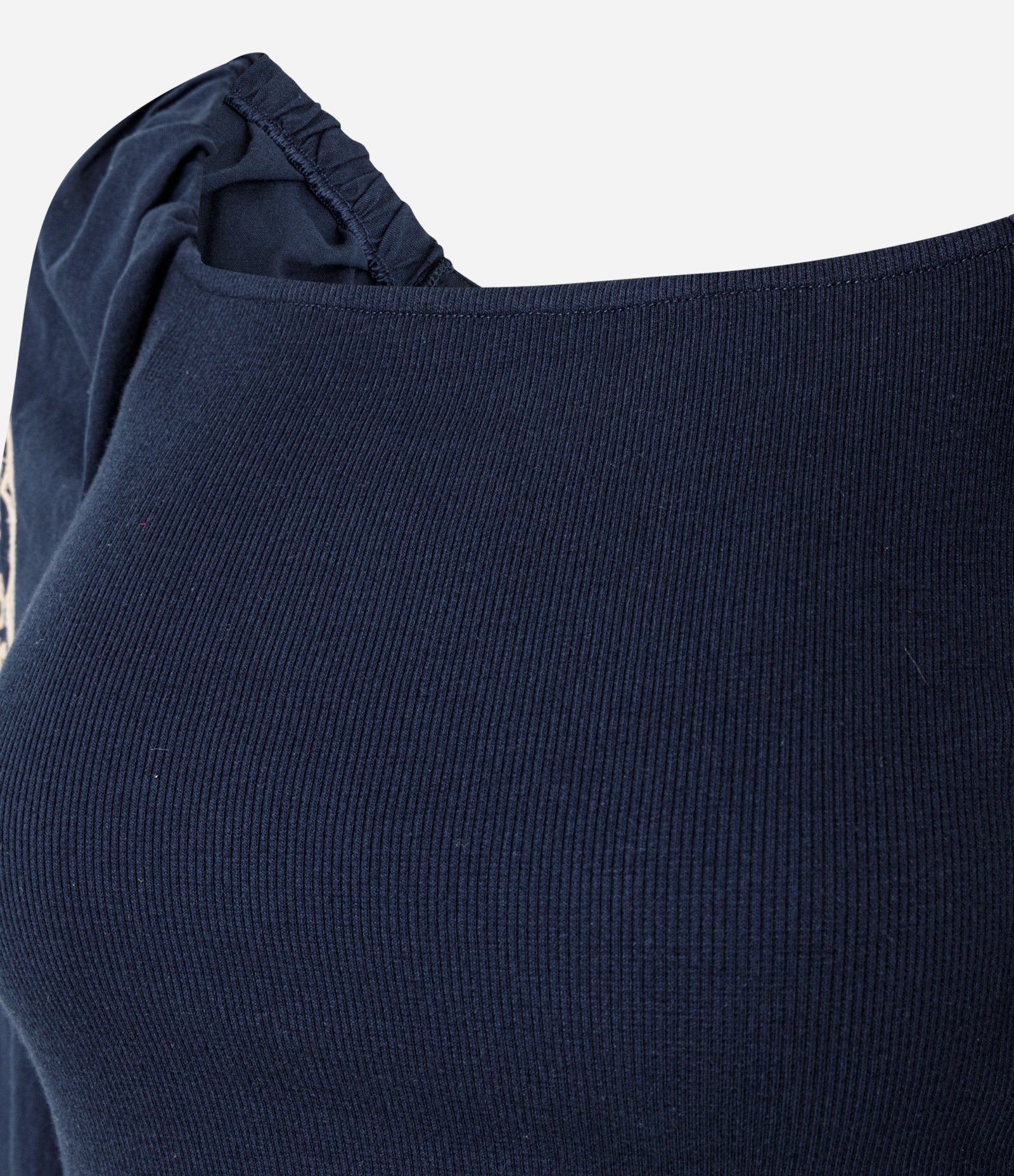 Blusa Manga Longa Bufante com Bordado de Folhagem Azul 5