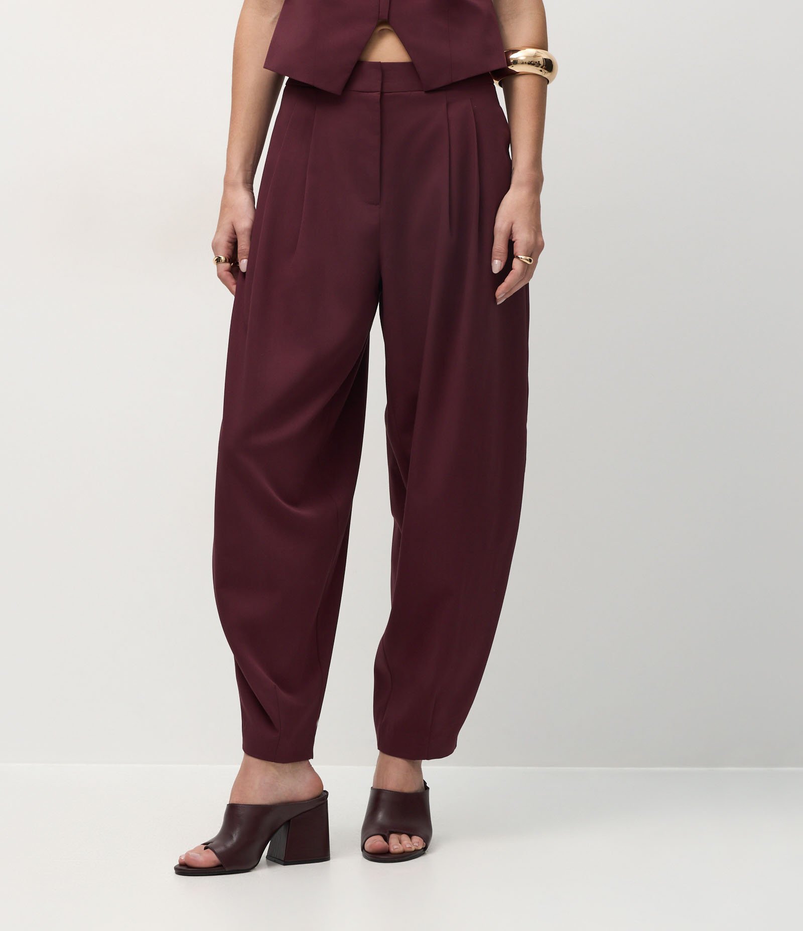 Calça Cenoura Alfaiatada com Pregas Frontais Vinho 3