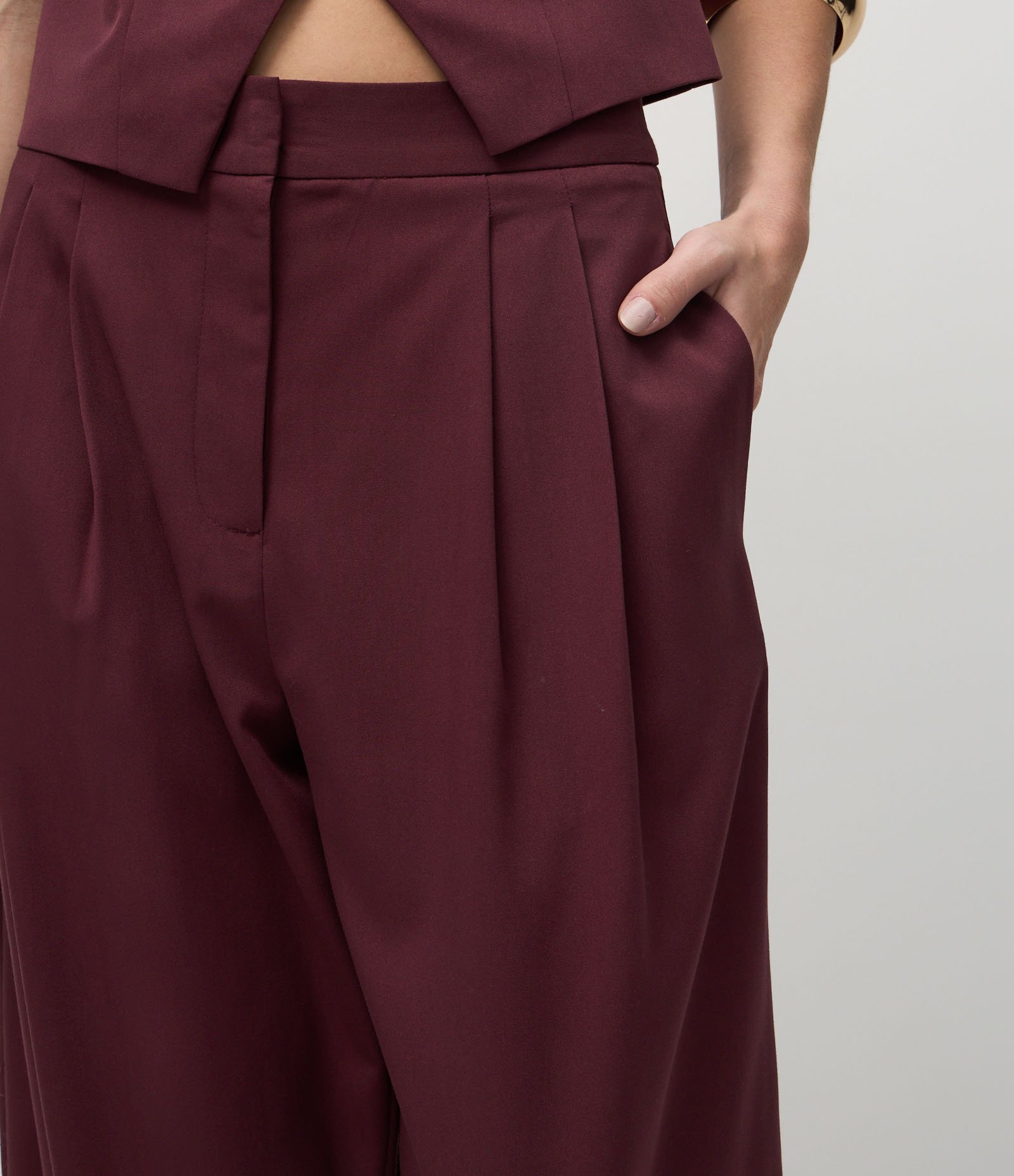 Calça Cenoura Alfaiatada com Pregas Frontais Vinho 4