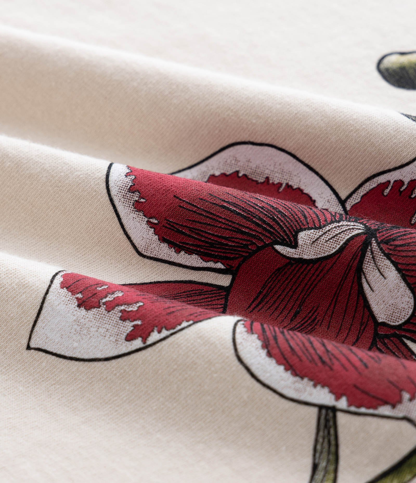 Camiseta Alongada em Meia Malha com Estampa Orquídea Curve & Plus Size Bege 3