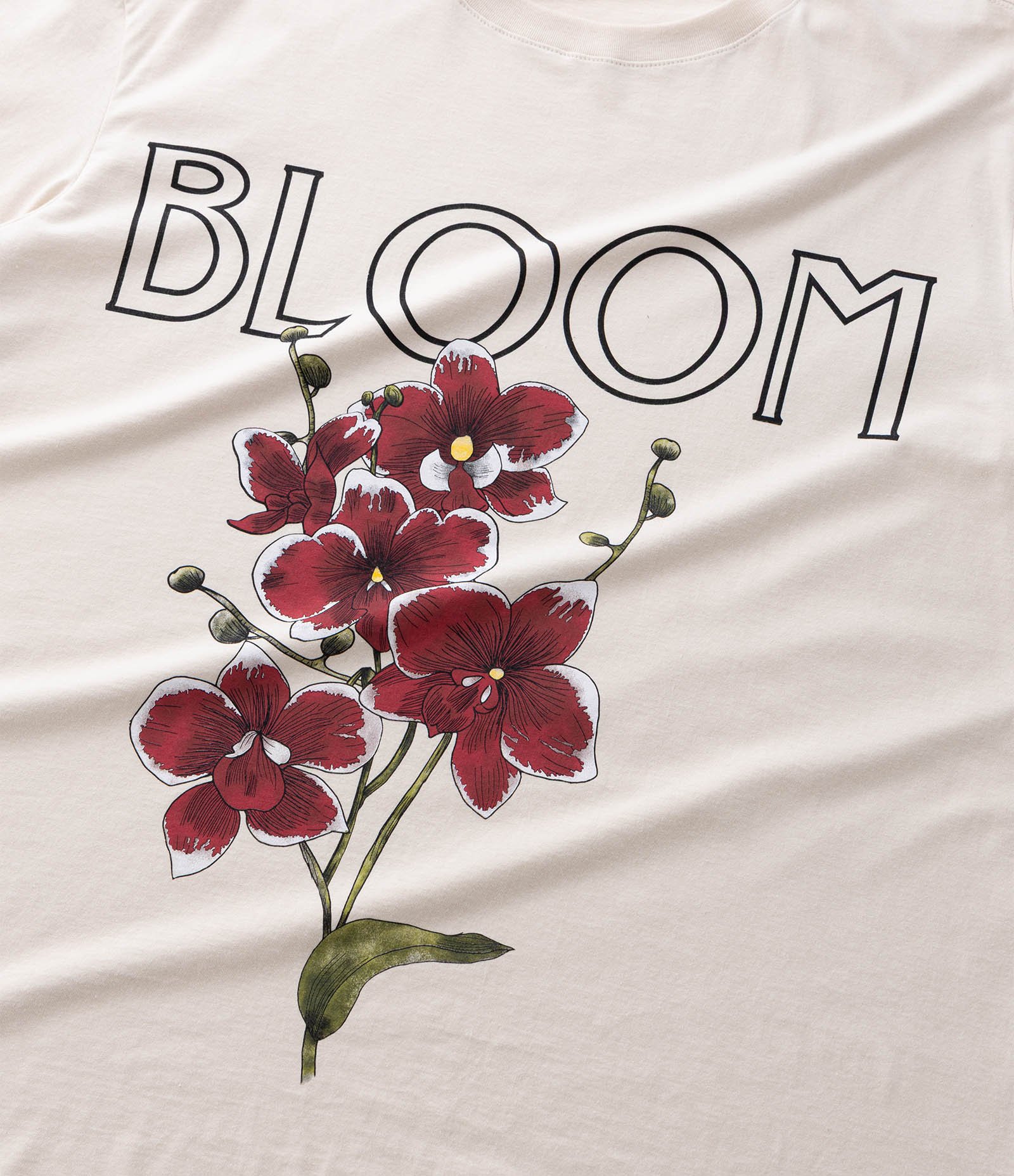 Camiseta Alongada em Meia Malha com Estampa Orquídea Curve & Plus Size Bege 4