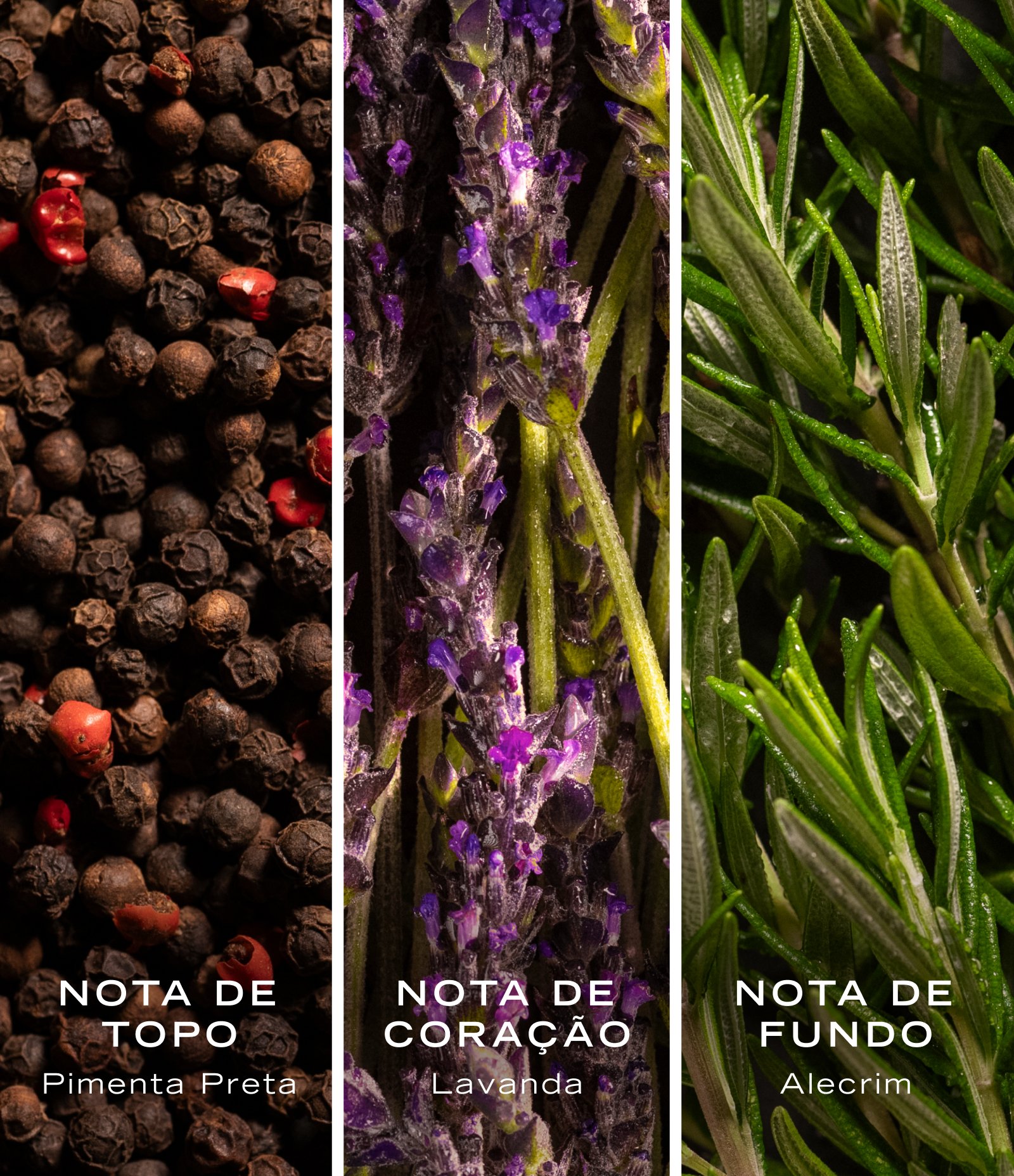 Nautica Colors Red Eau de Toilette 50ml 7