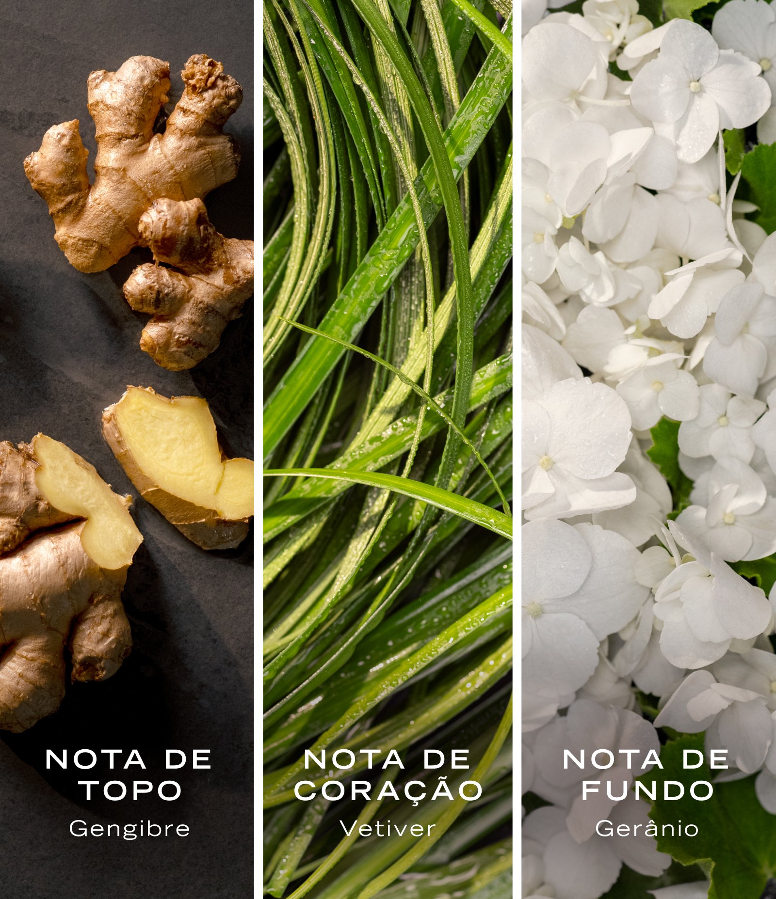 Nautica Colors Green Eau de Toilette  50ml 7