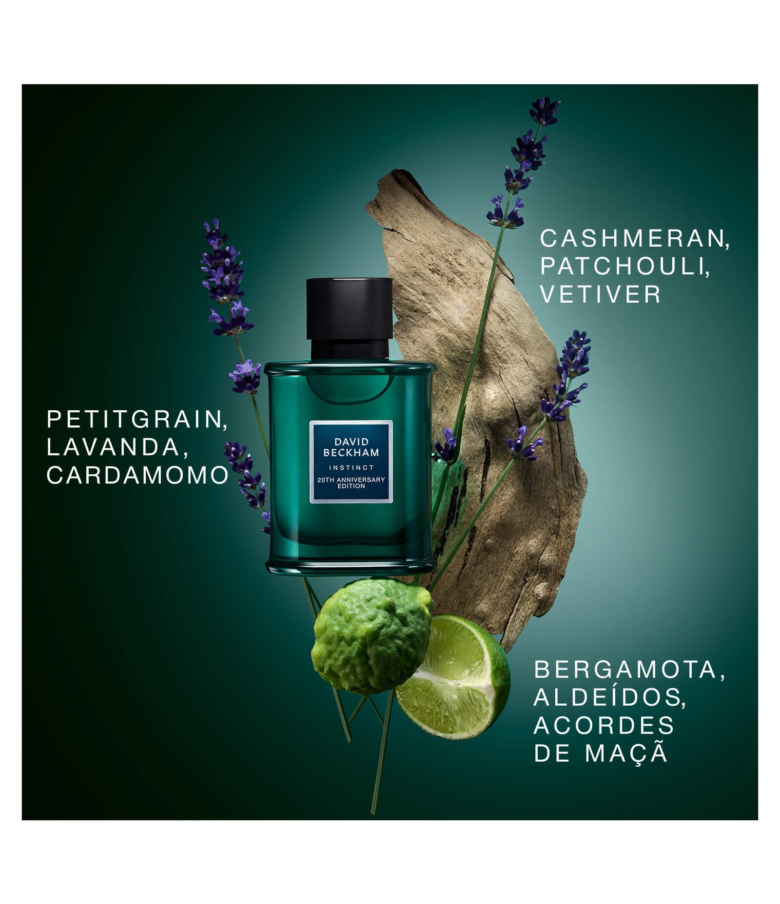 David Beckham Instinct 20th Anniversary Eau de Parfum 75ml 6