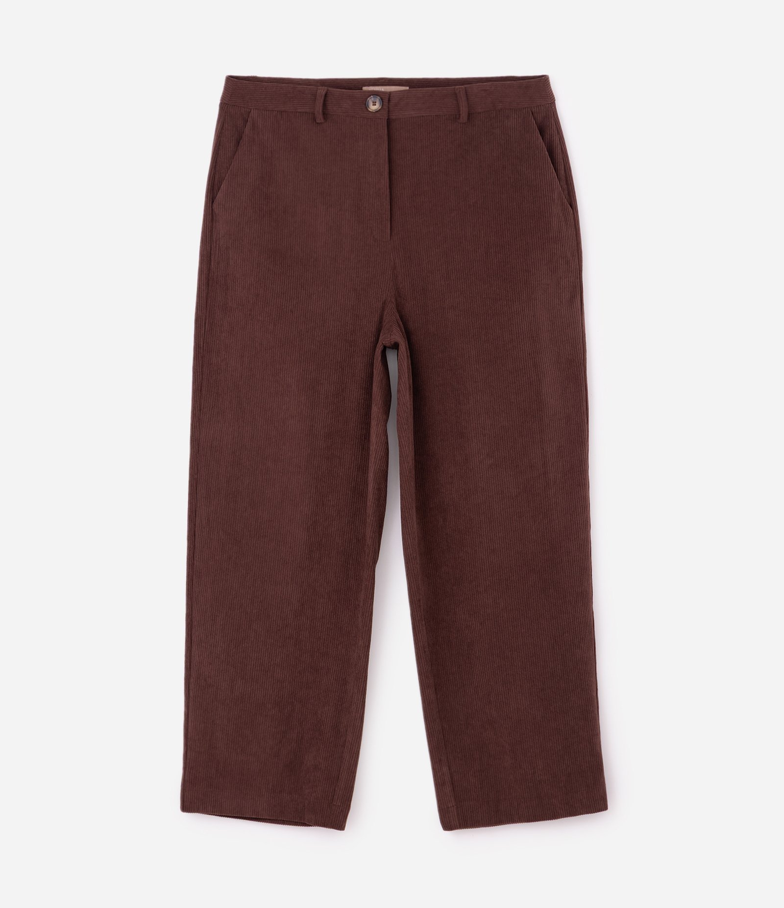 Calça Veludo Cotelê Reta Curve & Plus Size Marrom 1