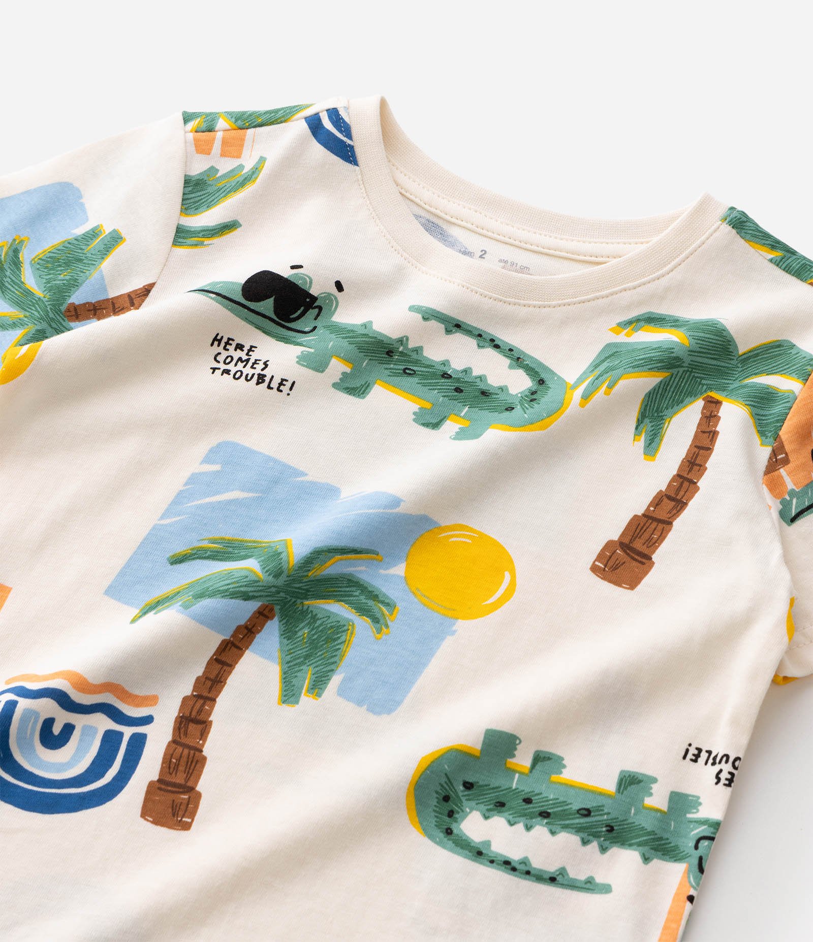 Conjunto Infantil Em Microfibra - Tam 1 a 6 Anos Multicores 4