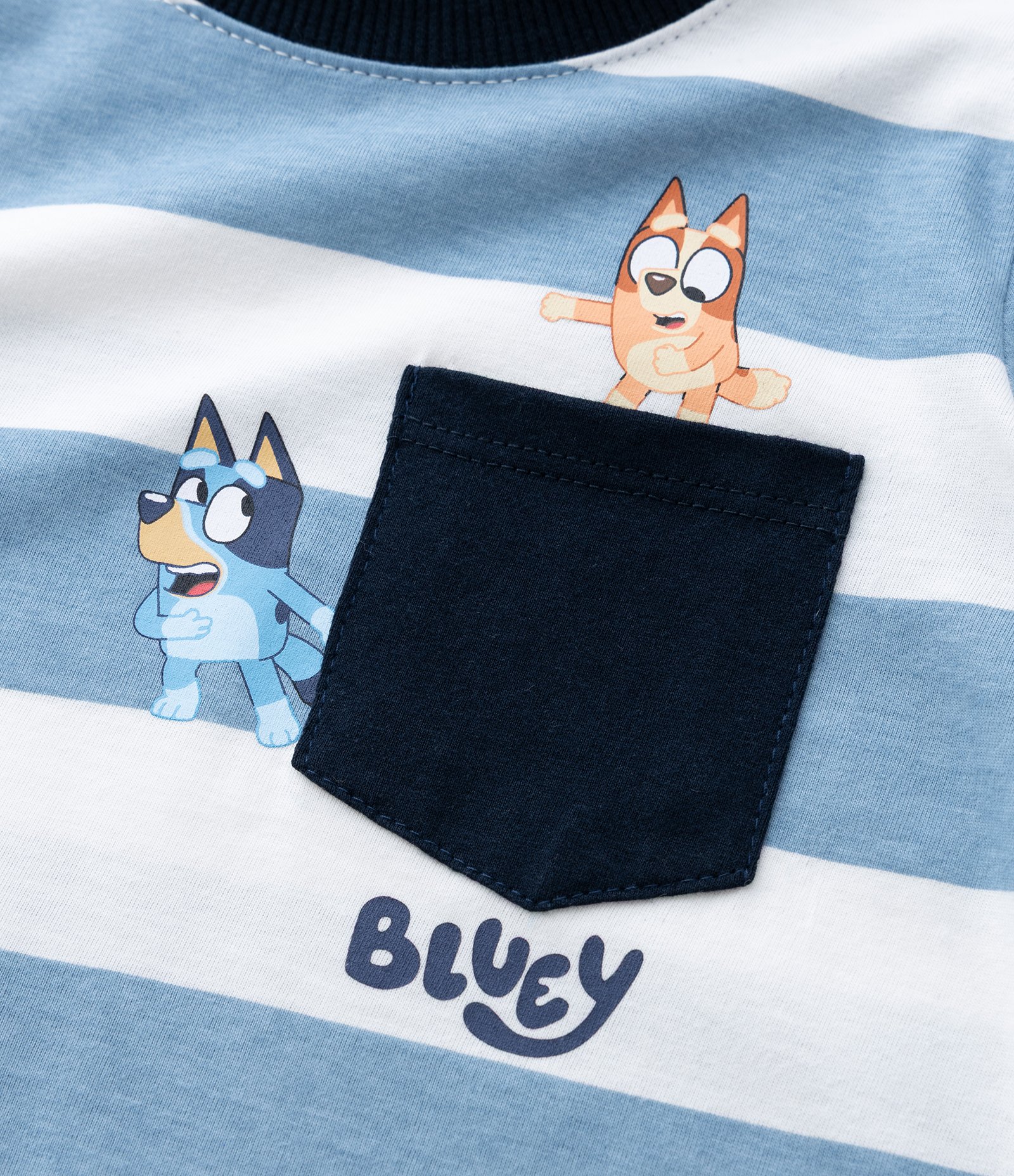 Camiseta Infantil Listrada com Estampa Bluey no Bolso – Tam 2 a 6 Anos Azul/Branco 5