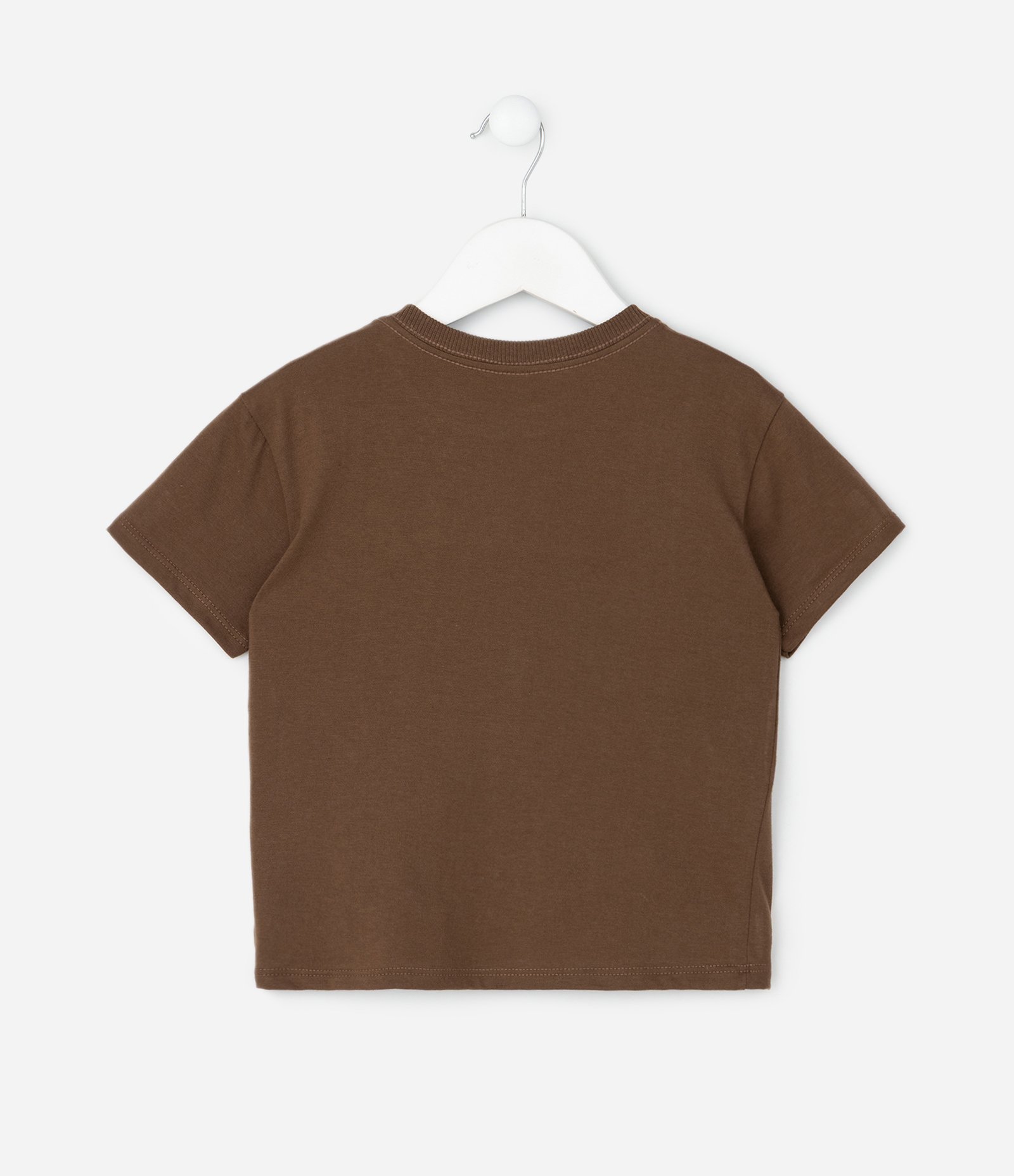 Camiseta Infantil com Estampa Dinossauro e Lettering em Gel – Tam 1 a 6 Anos Marrom 2