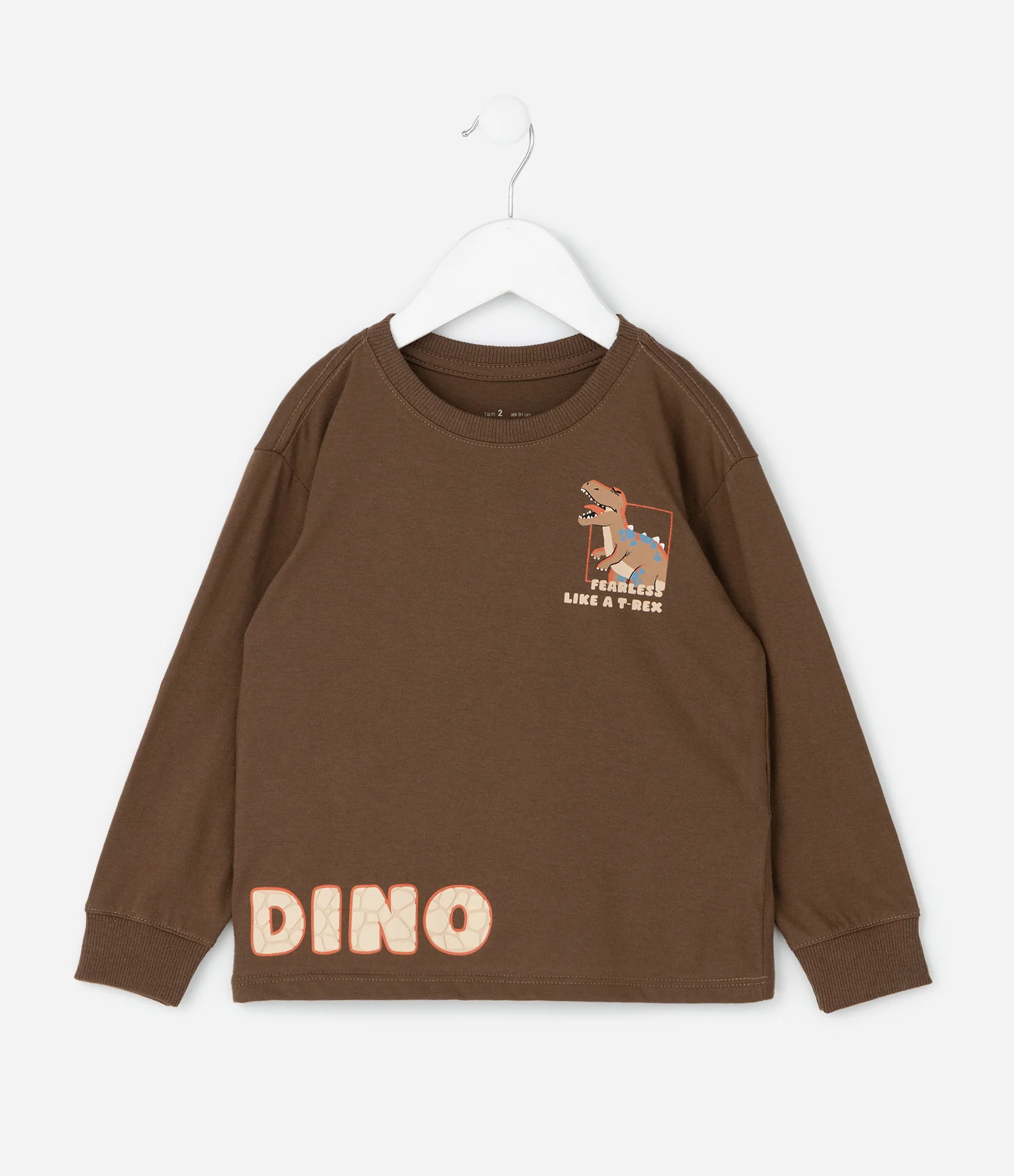 Camiseta Infantil com Estampa Dinossauro – Tam 1 a 6 Anos Marrom 1