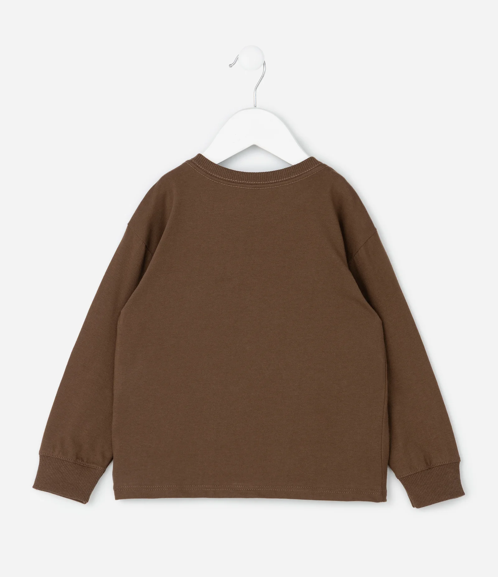 Camiseta Infantil com Estampa Dinossauro – Tam 1 a 6 Anos Marrom 2