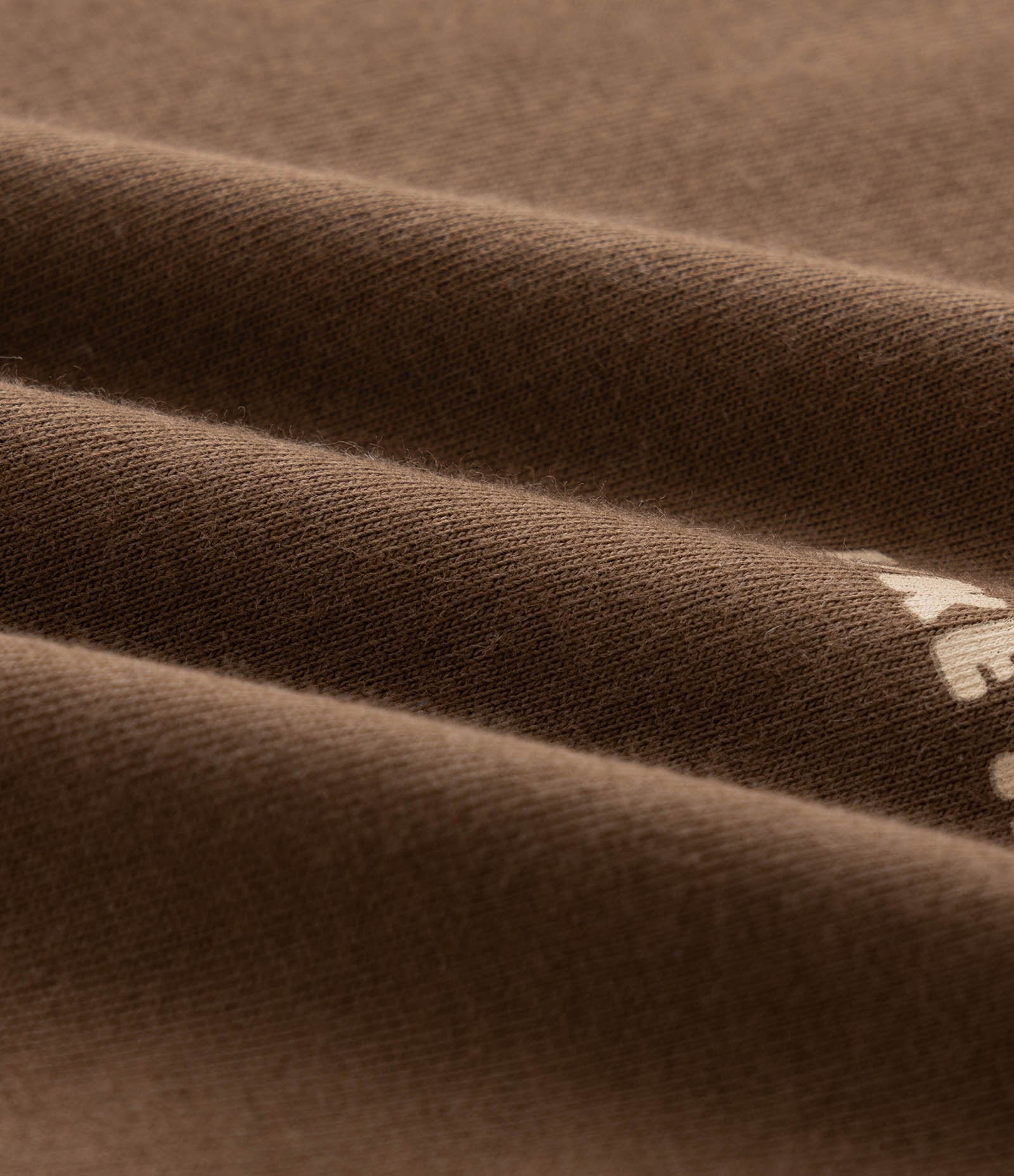 Camiseta Infantil com Estampa Dinossauro – Tam 1 a 6 Anos Marrom 3