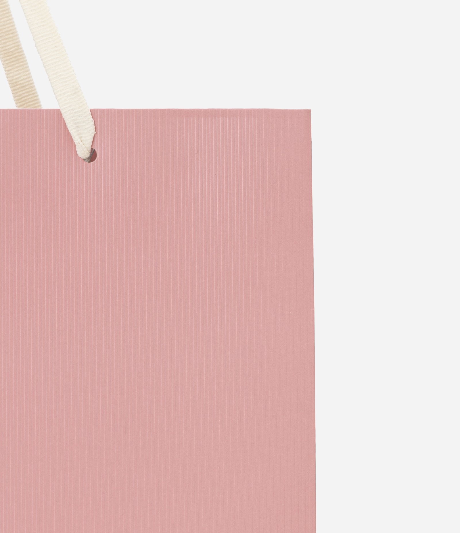 Embalagem de Presente Média com Textura Rosa 2