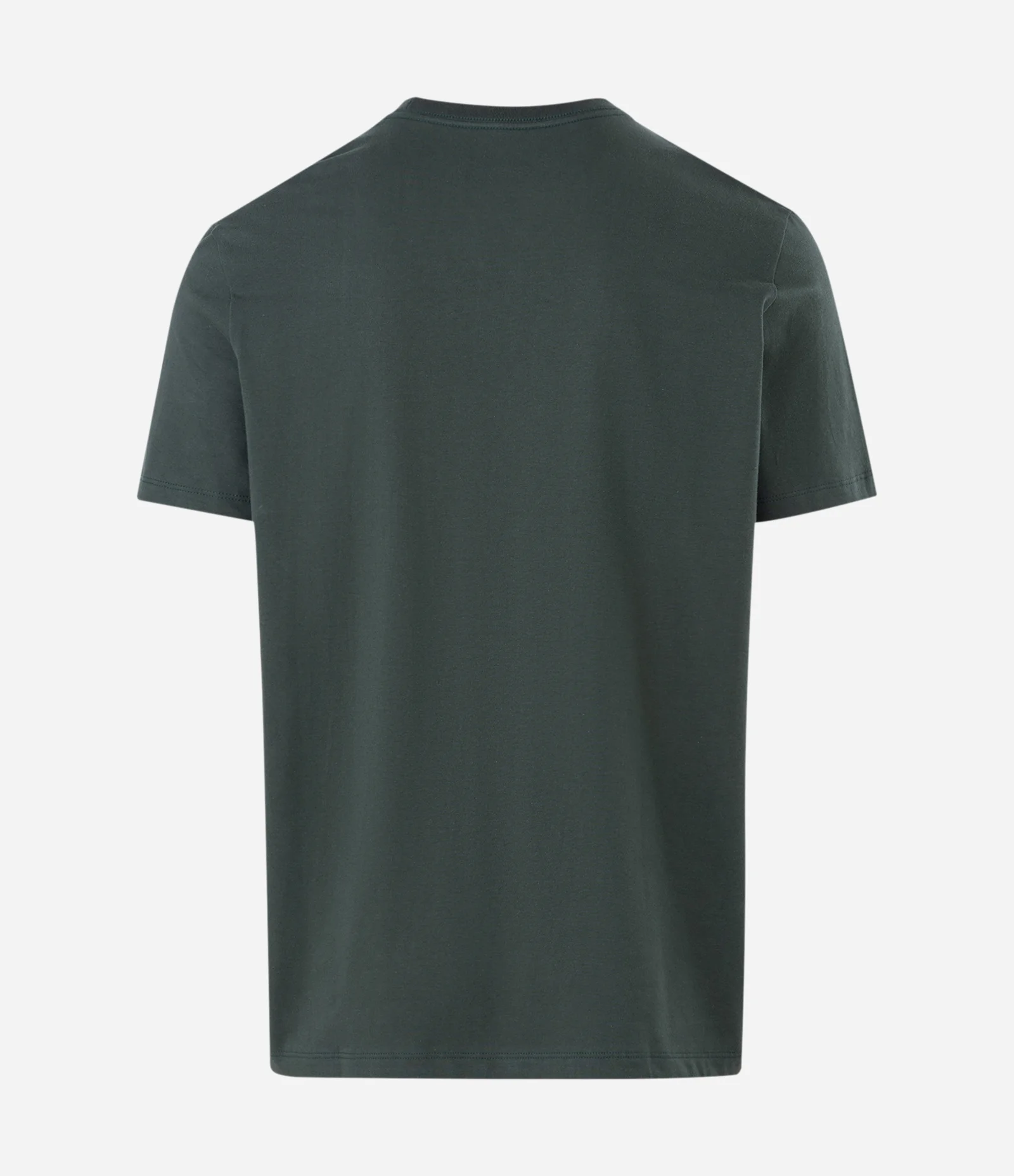 Camiseta Manga Curta com Bordado Samba Verde 2