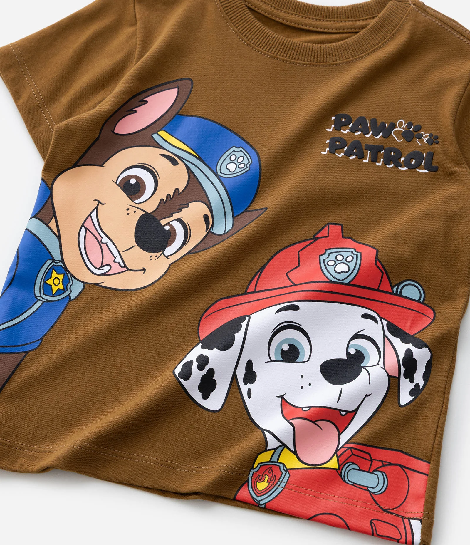 Camiseta Infantil Patrulha Canina com Lettering em Relevo – Tam 2 a 6 Anos Marrom 4